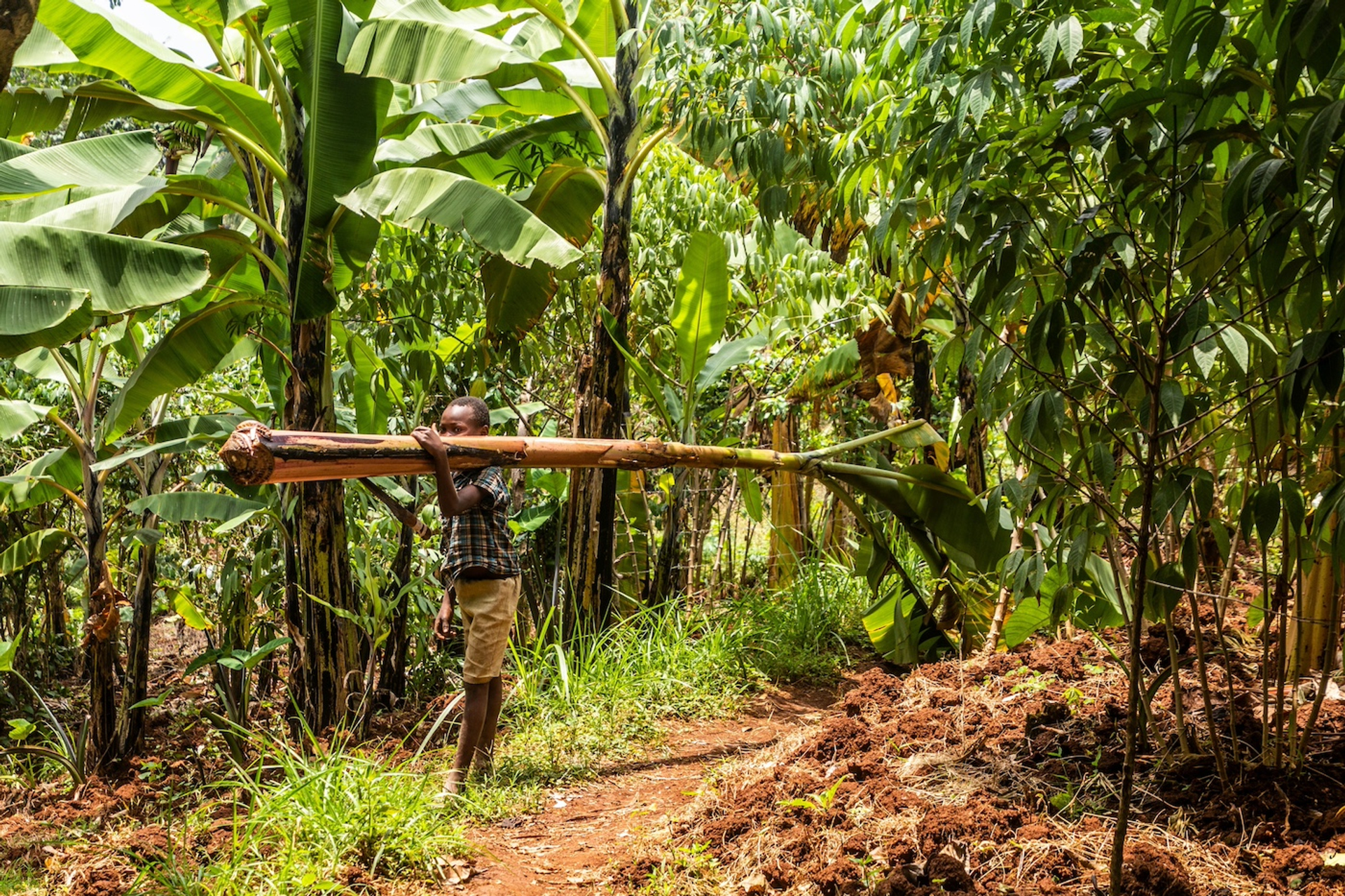 shutterstock_2495170375-1738332532