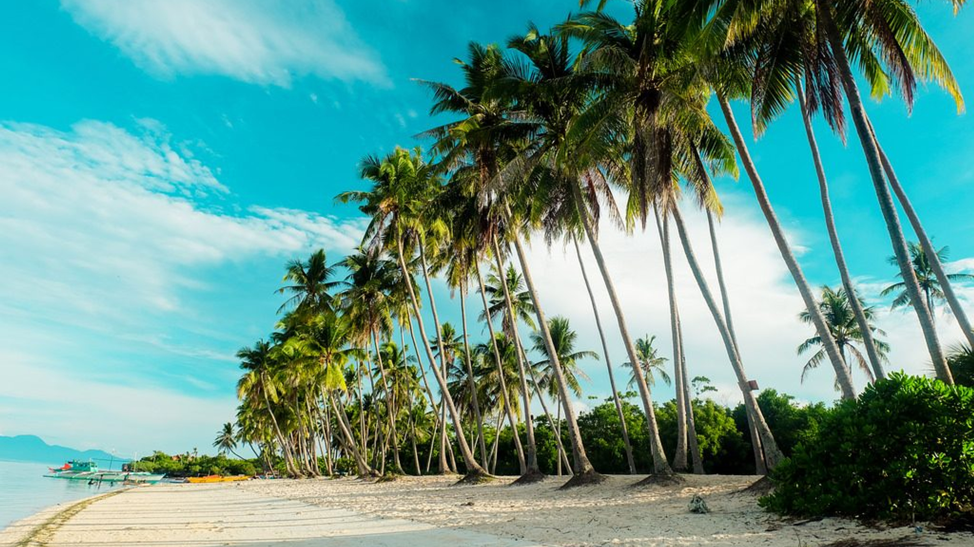 29b71a86-bdf2-4958-9101-4932fd712b3b-1605104202