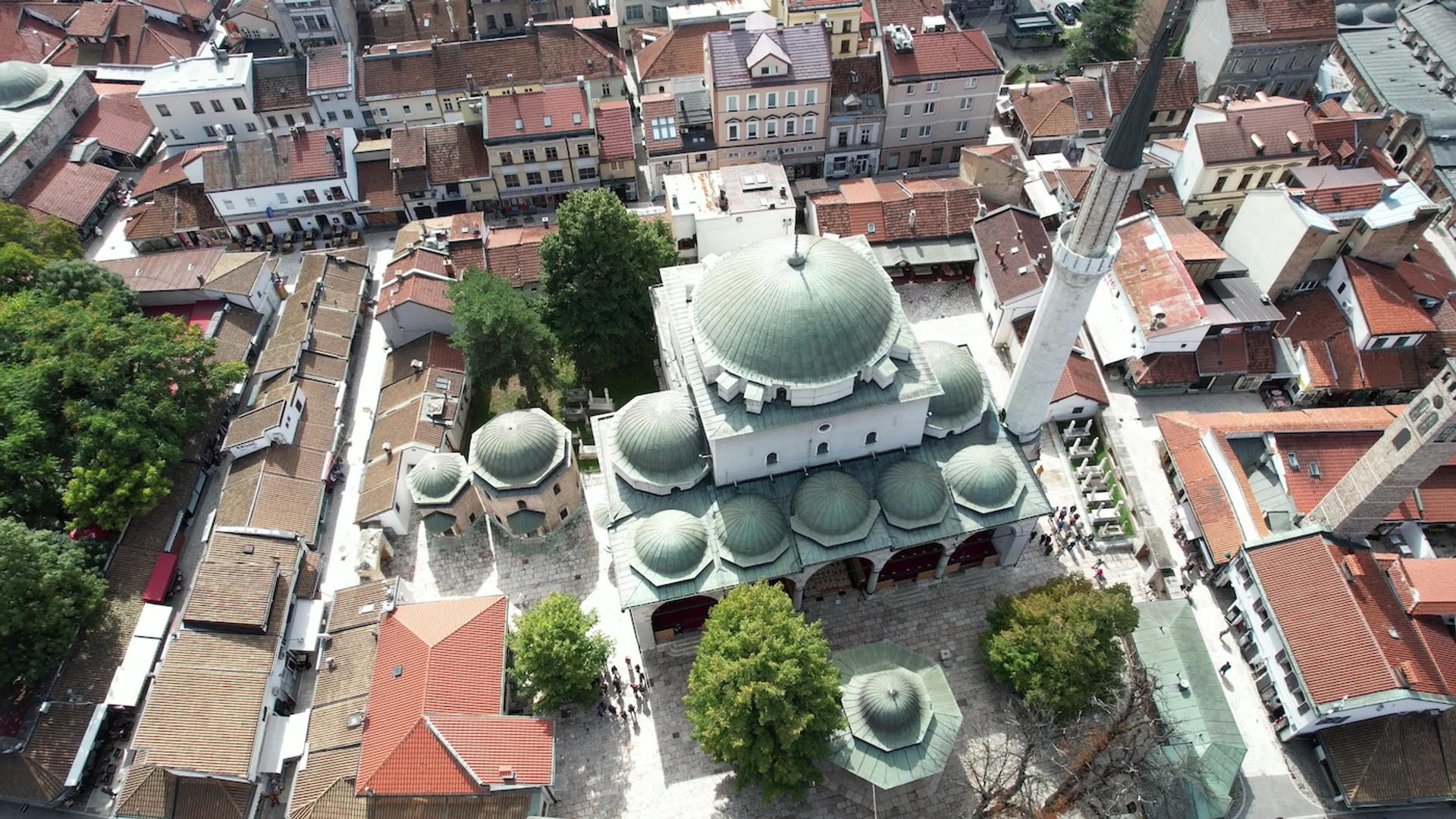 shutterstock_2148568297-1727874125