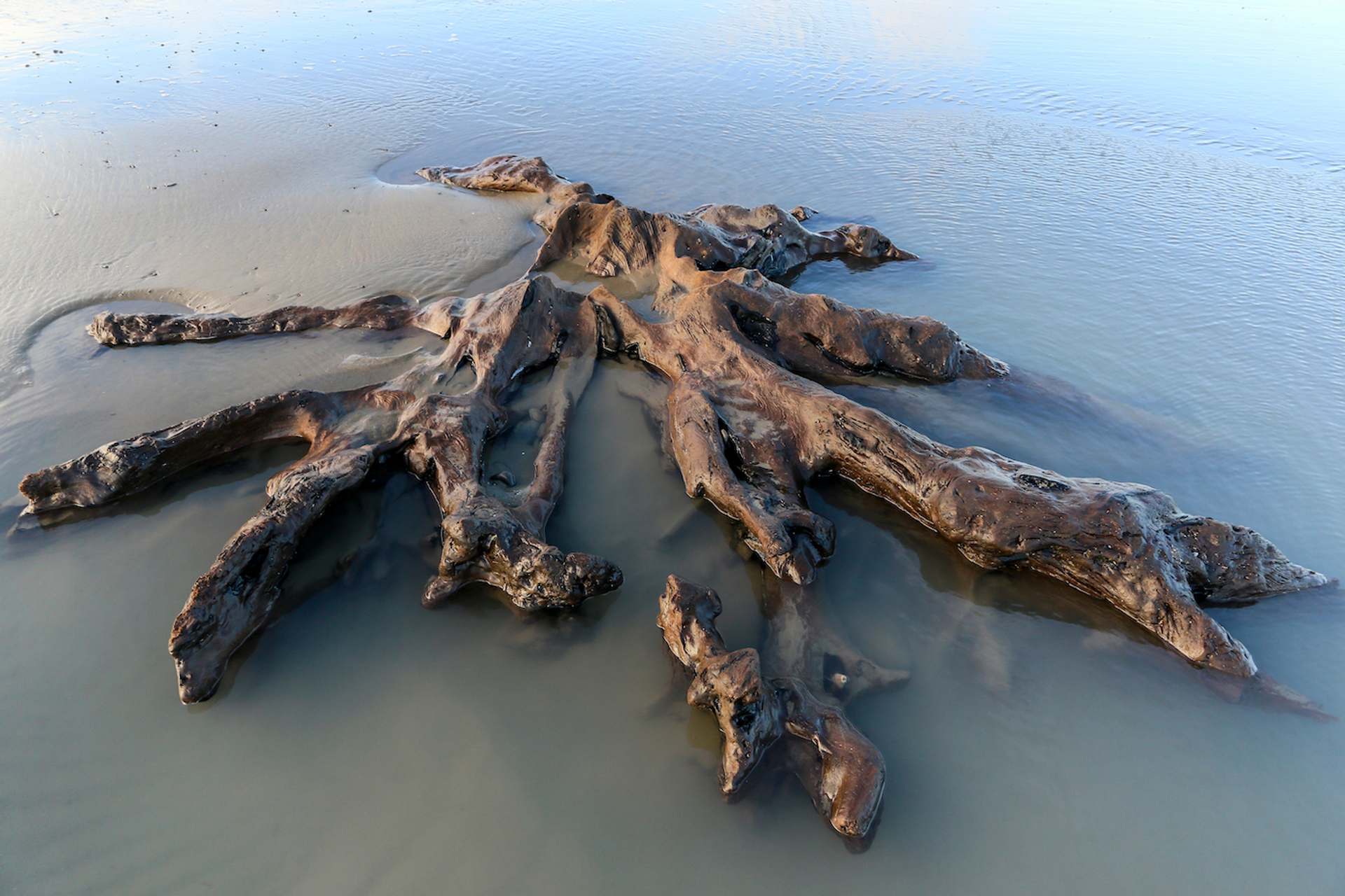 shutterstock_1311910418-1625564446