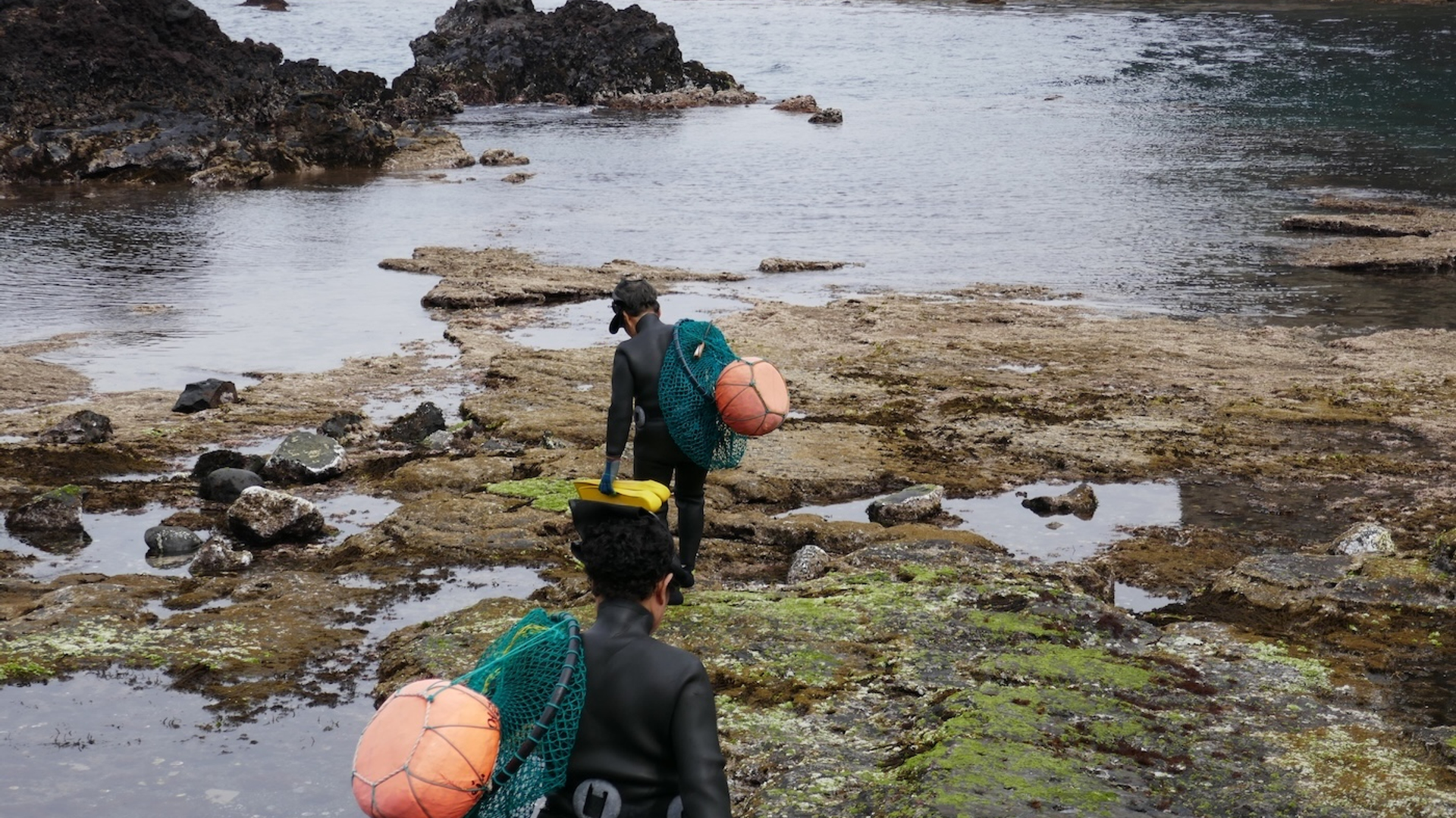 Caroline_Del-1733819561