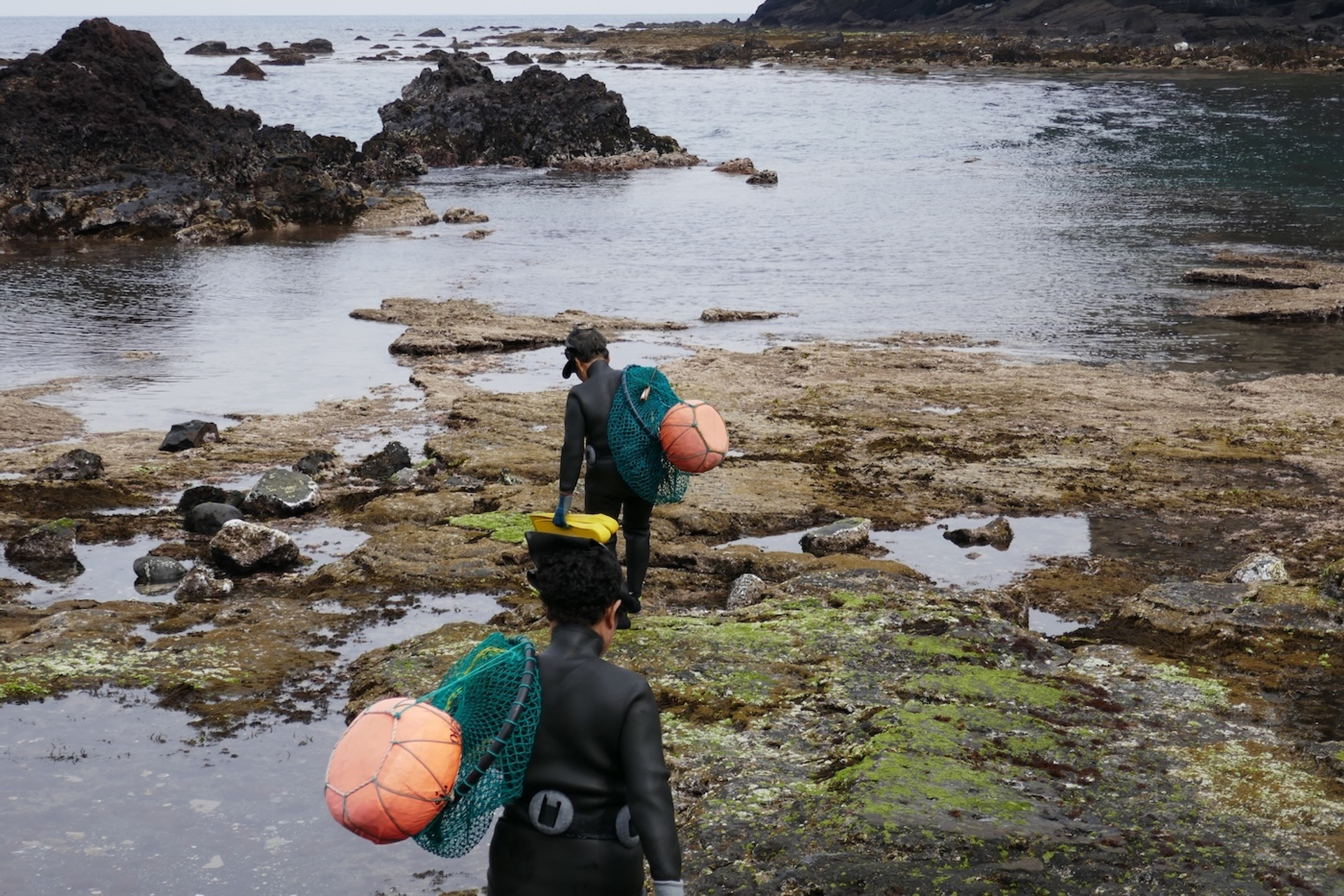 Caroline_Del-1733819561