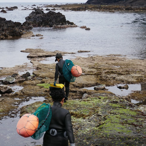 Van zeewiervissen tot offerrituelen: dit is de Haenyeo-cultuur
