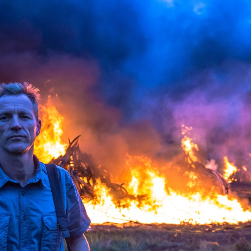 Fotojournalist Paul Hilton legt al decennialang wildlife crimes vast: “Ik heb de meest wrede praktijken gezien”