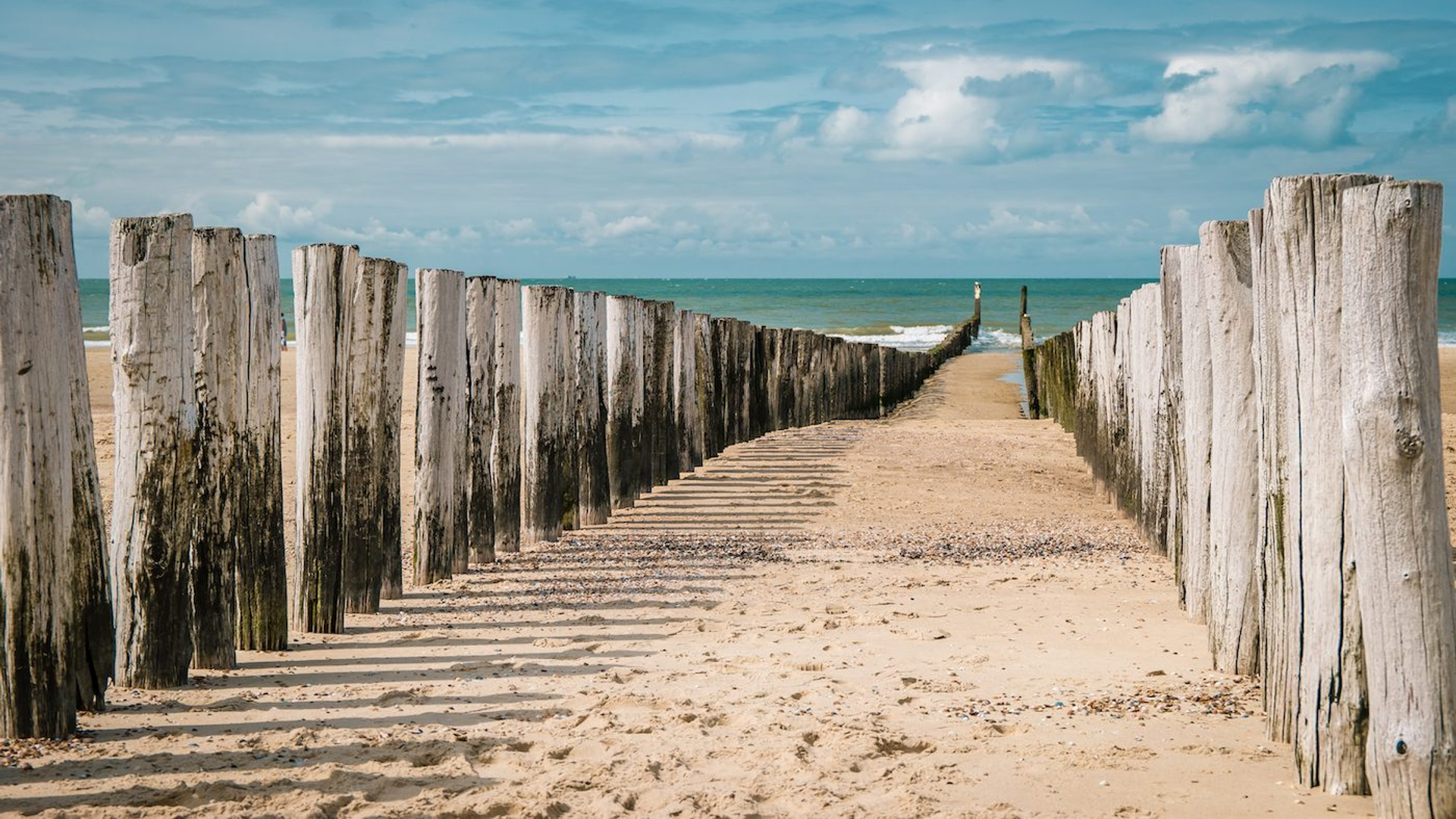 9dada15d-9c84-40c0-81be-05191d45f049-1605105514