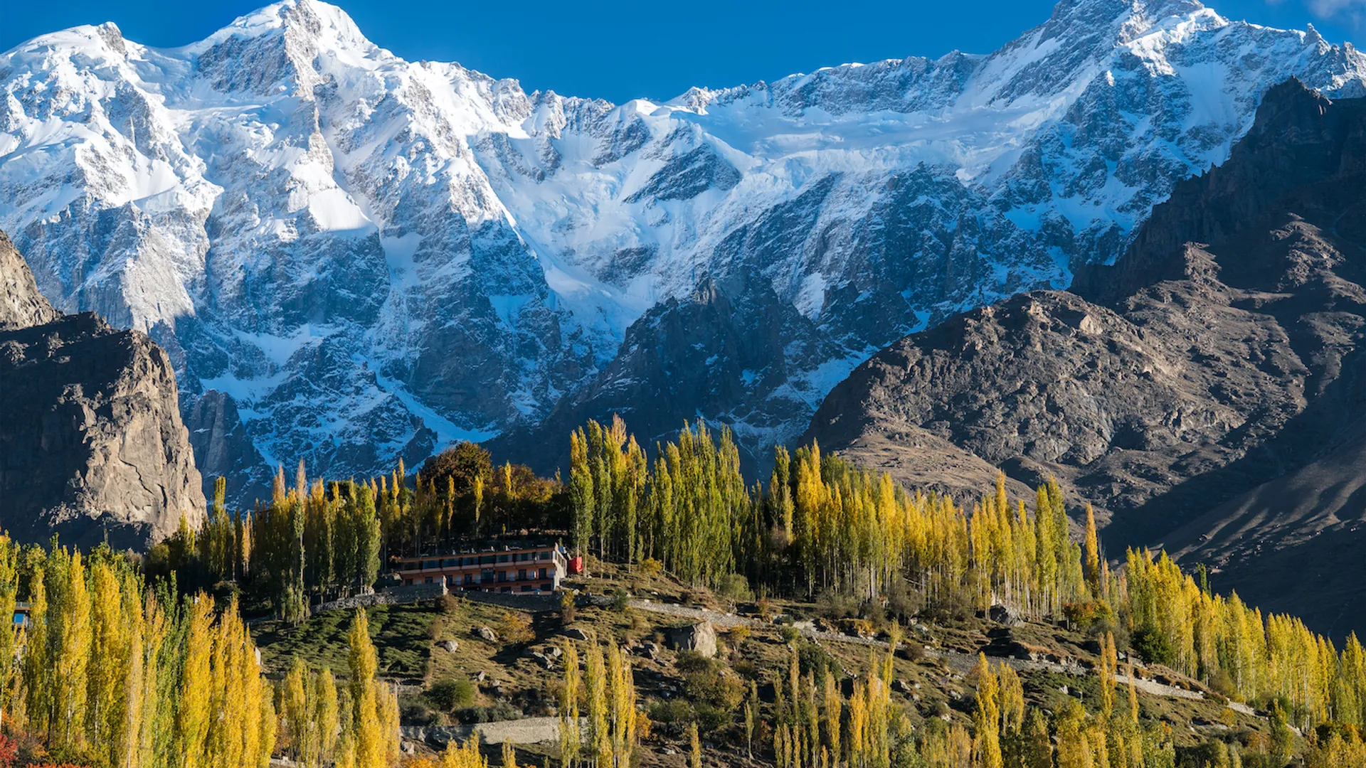 Umer_Arif-1689419634