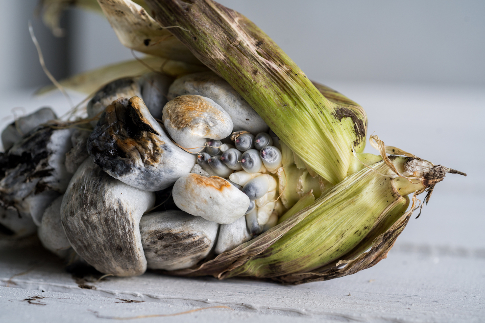 Surtidito-1705415570