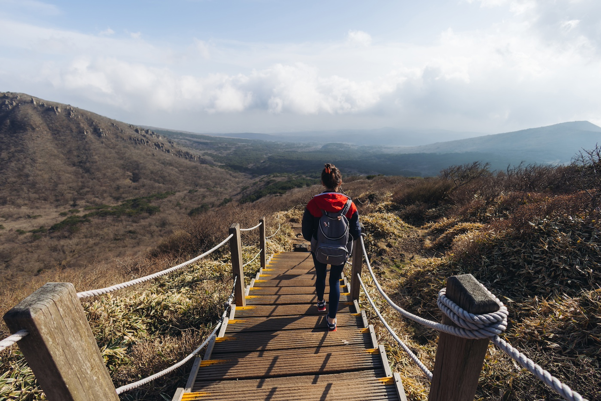 shutterstock_2527437343-1733822824