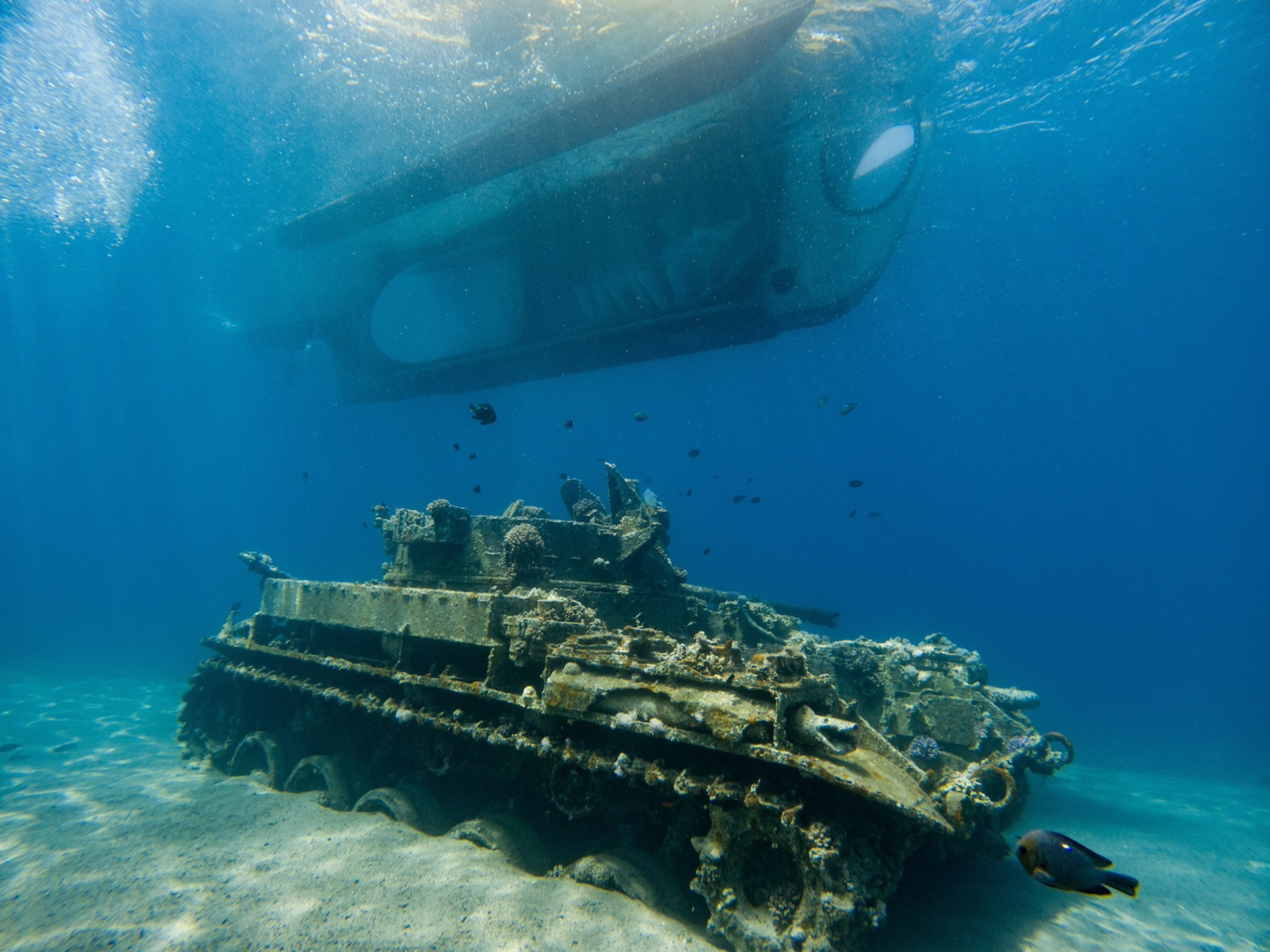 shutterstock_2439648625-1720793773