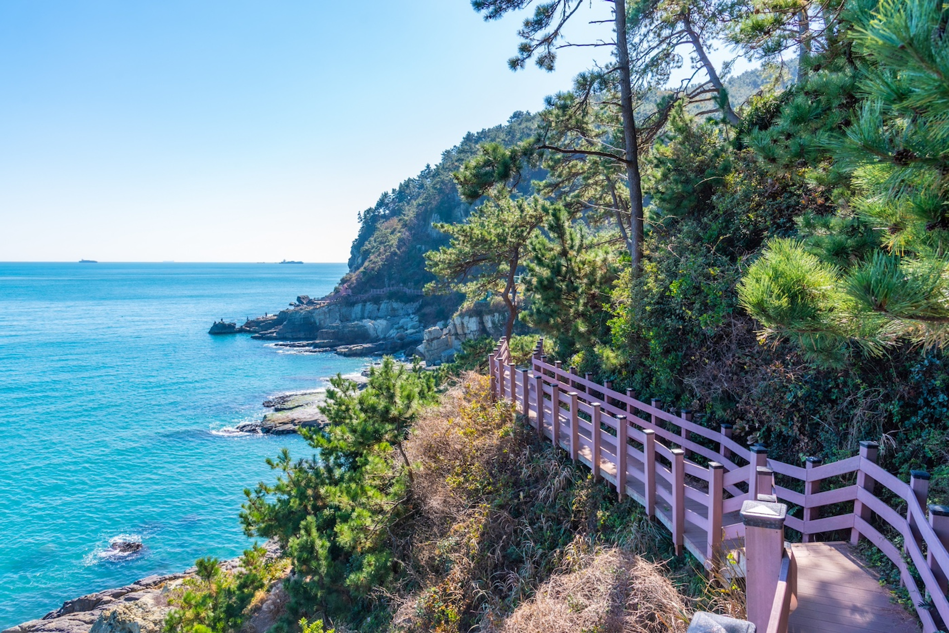 shutterstock_1963160236-1732103892