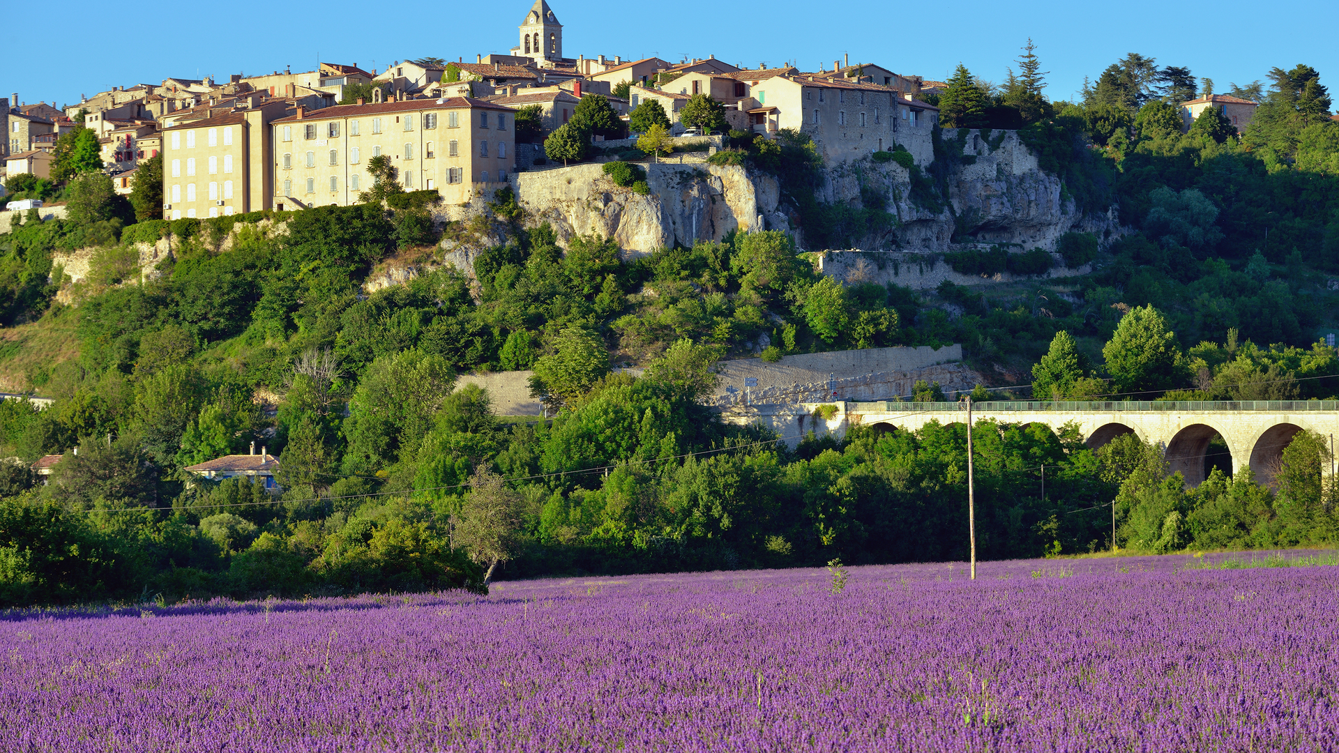 shutterstock_210833599-1607607471