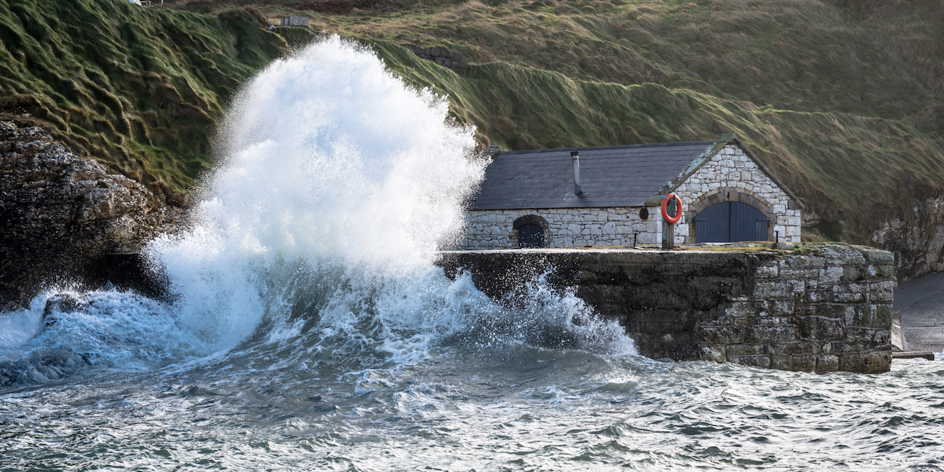 Shawnwil23-1632389366