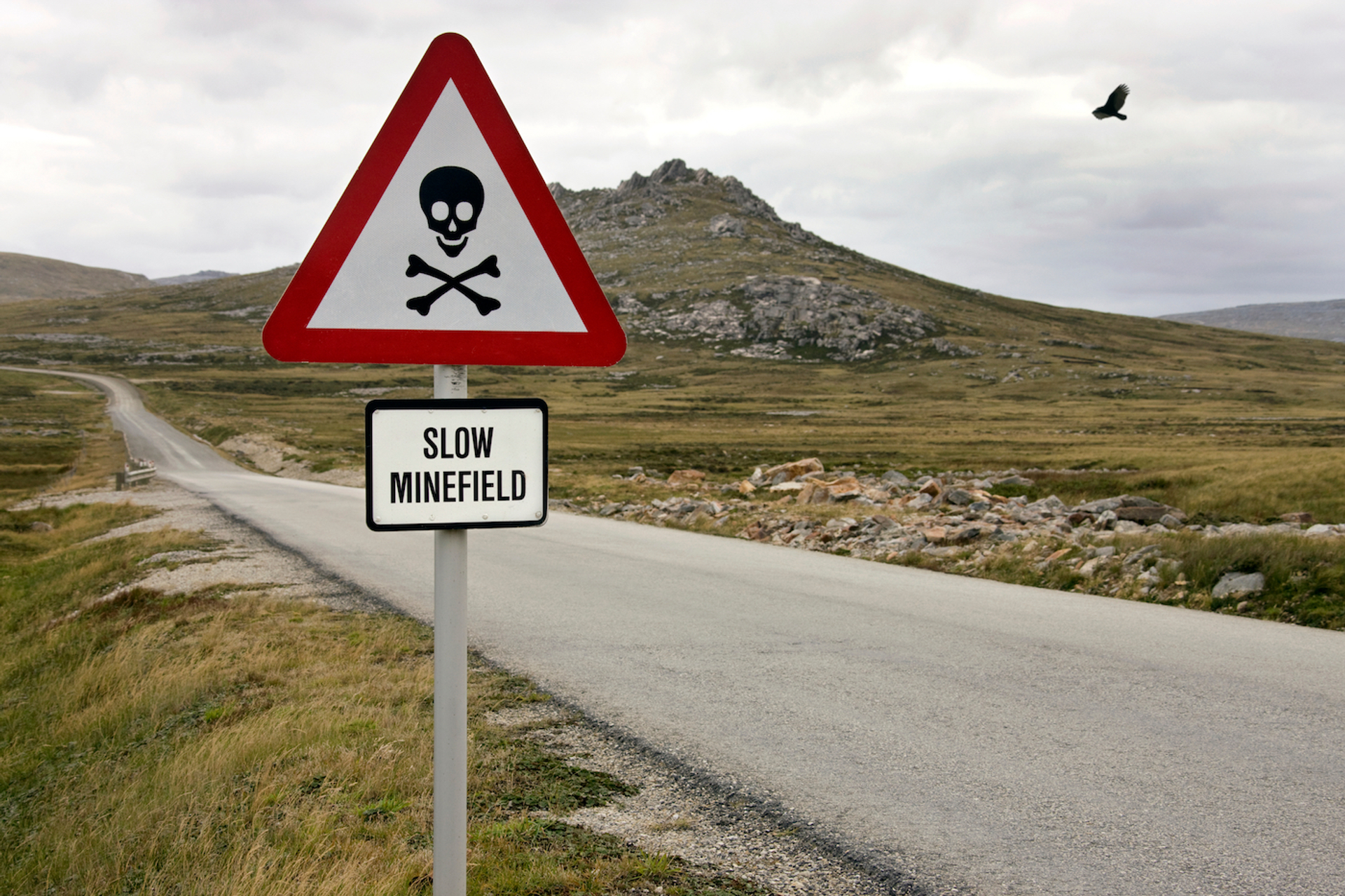 shutterstock_1580074966-1649940315