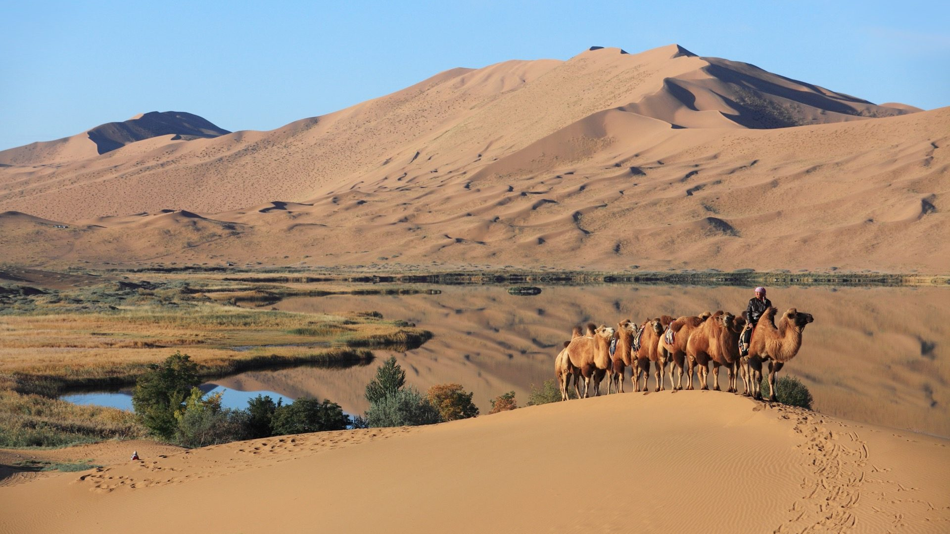 0a9dbc07-a676-4504-9101-c3cabb505090-1605102027