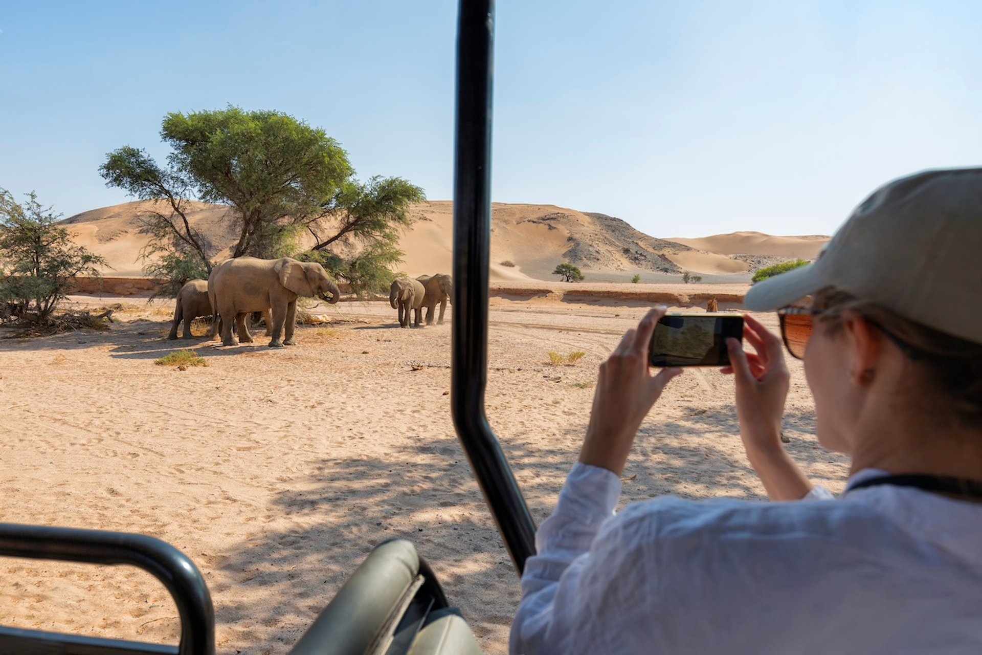 shutterstock_2483481445-1744896605