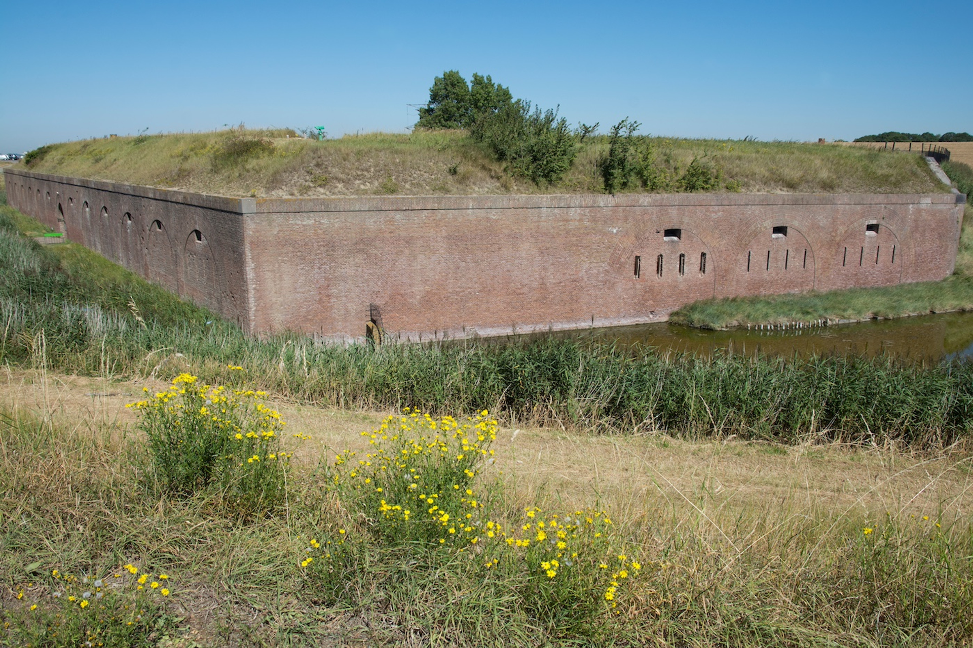 ellie_fort-1716911525