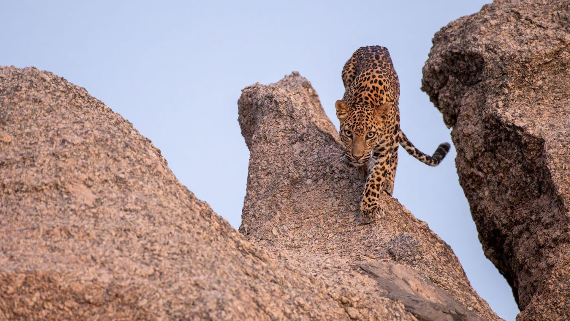 mihirjoshi__2_-1699975577