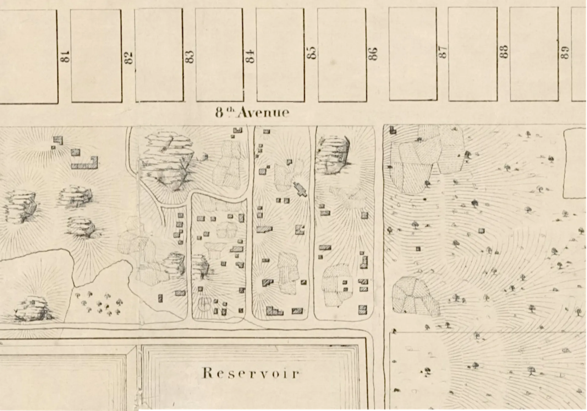 Viele__Egbert_L_and_own_work___commons.wikimedia.org-1710414566