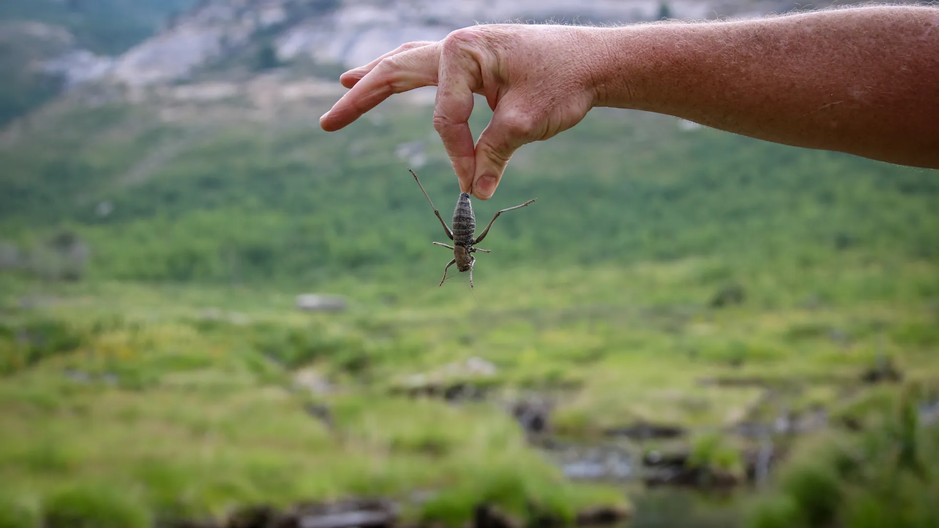 Tonya_Farr-1687187154