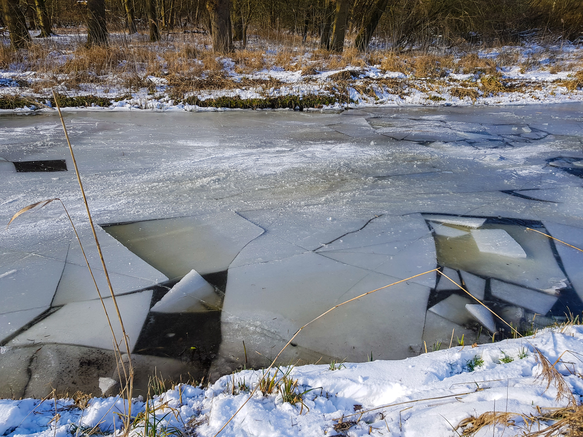 Ankeveense_Plassen_7-1613403423