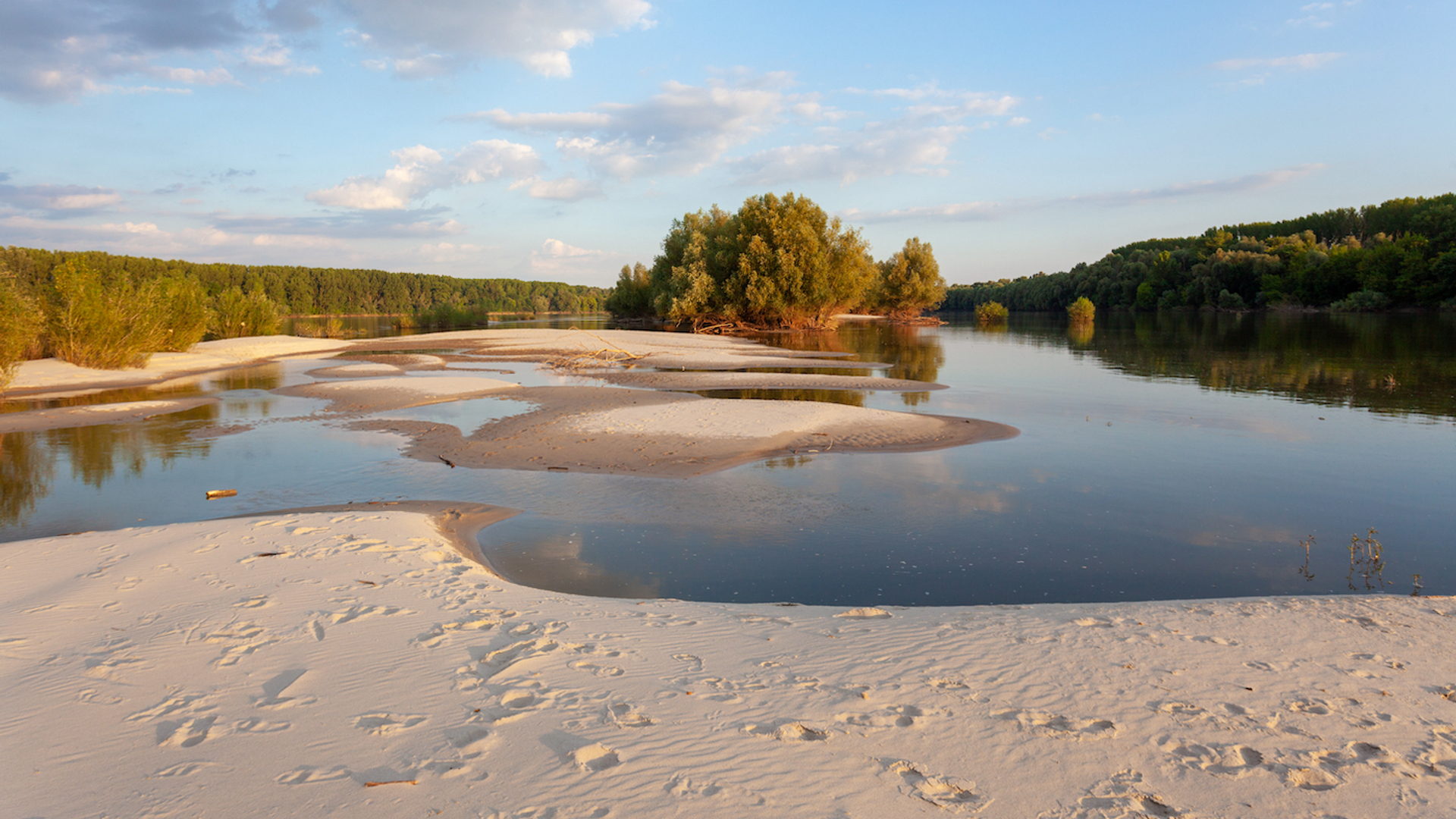 goran_safarek_2___Shutterstock.com-1679510267