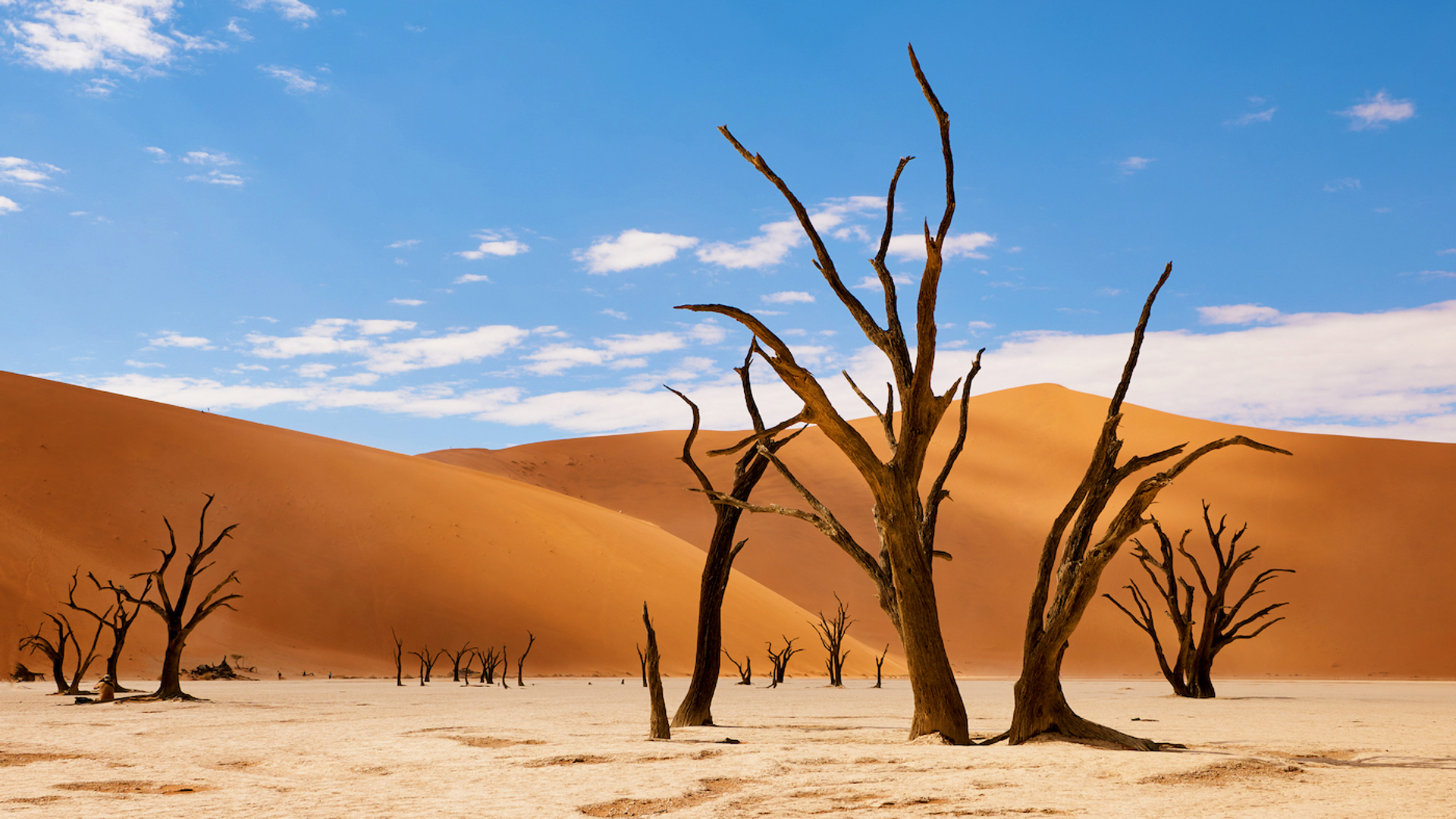 ArCaLu_2___Shutterstock.com-1678979324