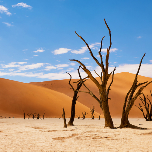 De Deadvlei heeft al negenhonderd jaar nauwelijks regen gezien