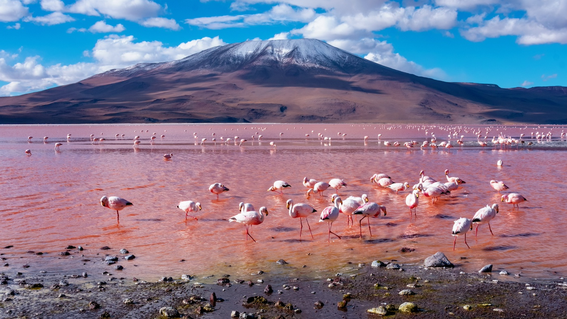 Belikova_Oksana-1718892553