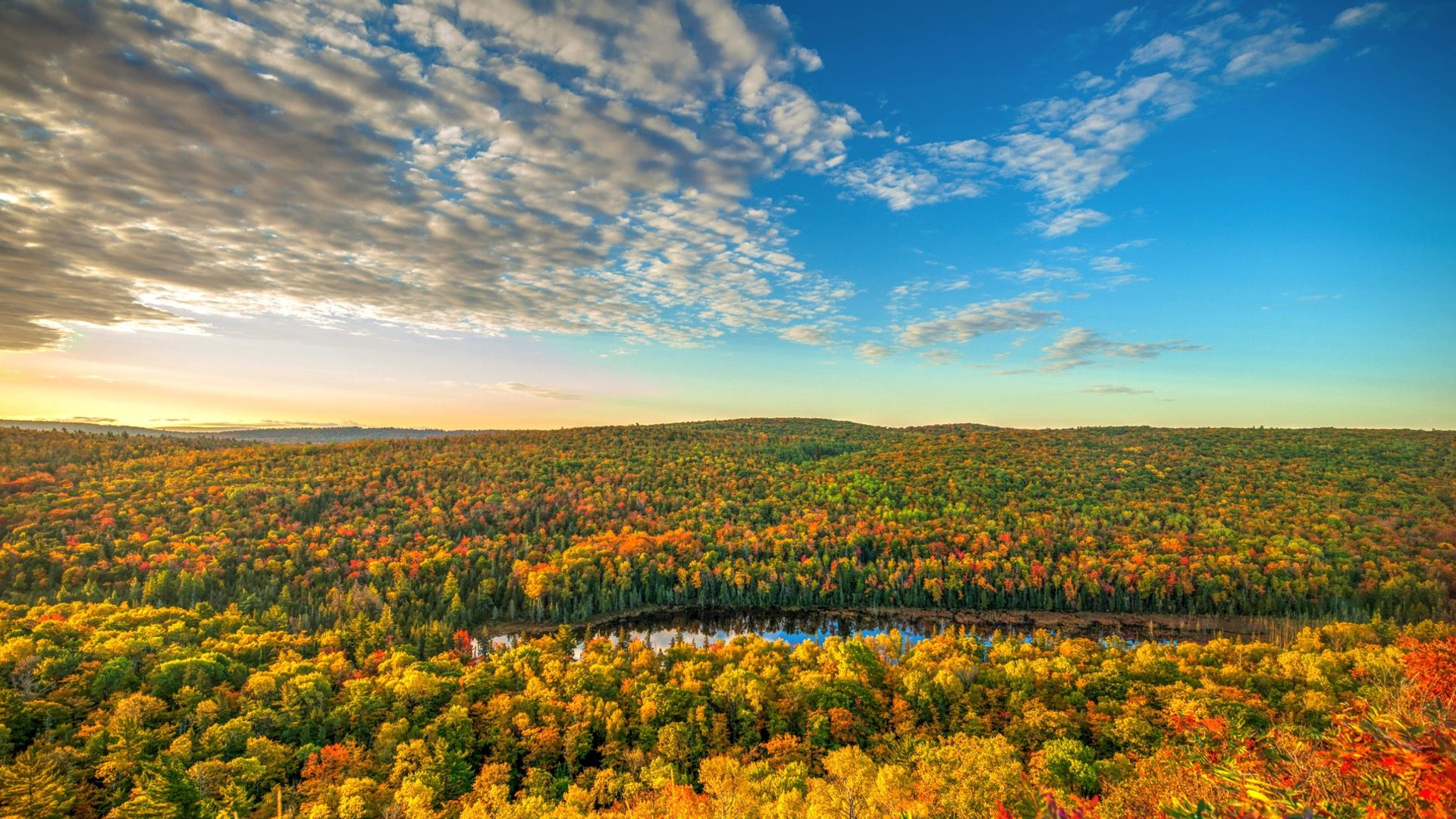 92ca3082-5817-4a4a-8ba3-2d5cdc32a2a5-1605091616