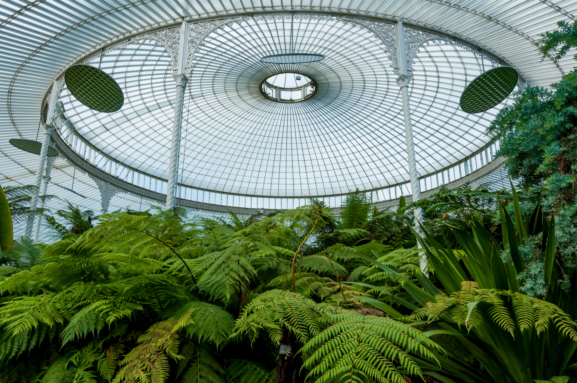 shutterstock_207035740-1645708906