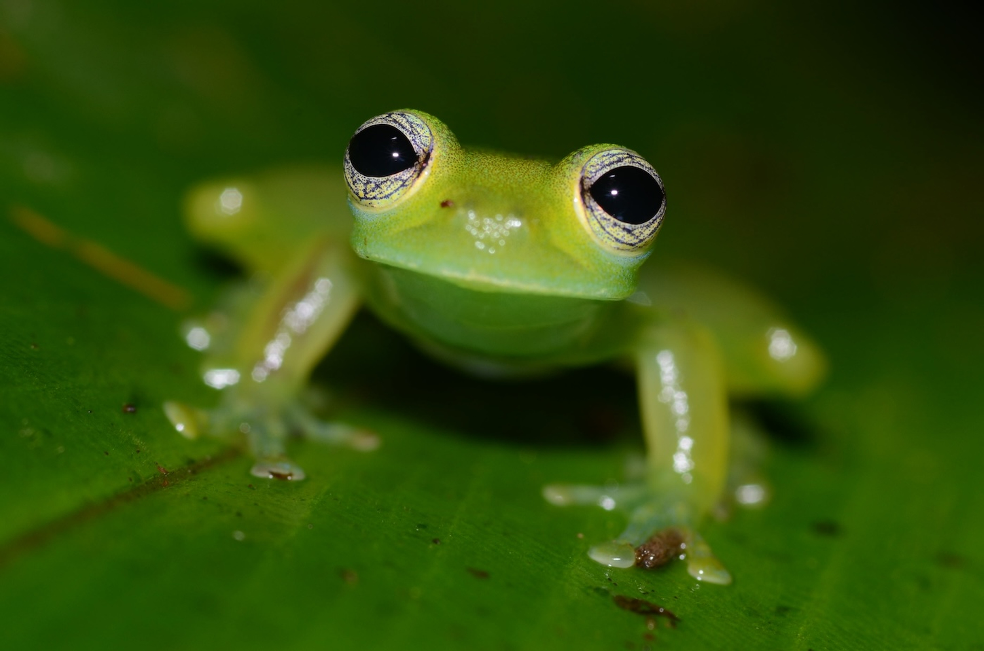 PRIYA_S_NAIR_NATURE-1715857101