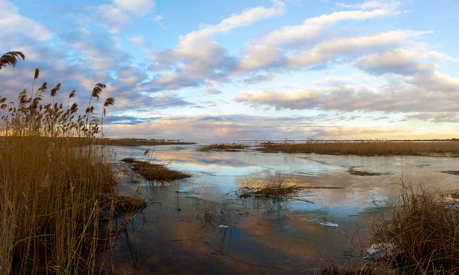 shutterstock_1644406732-1622123503