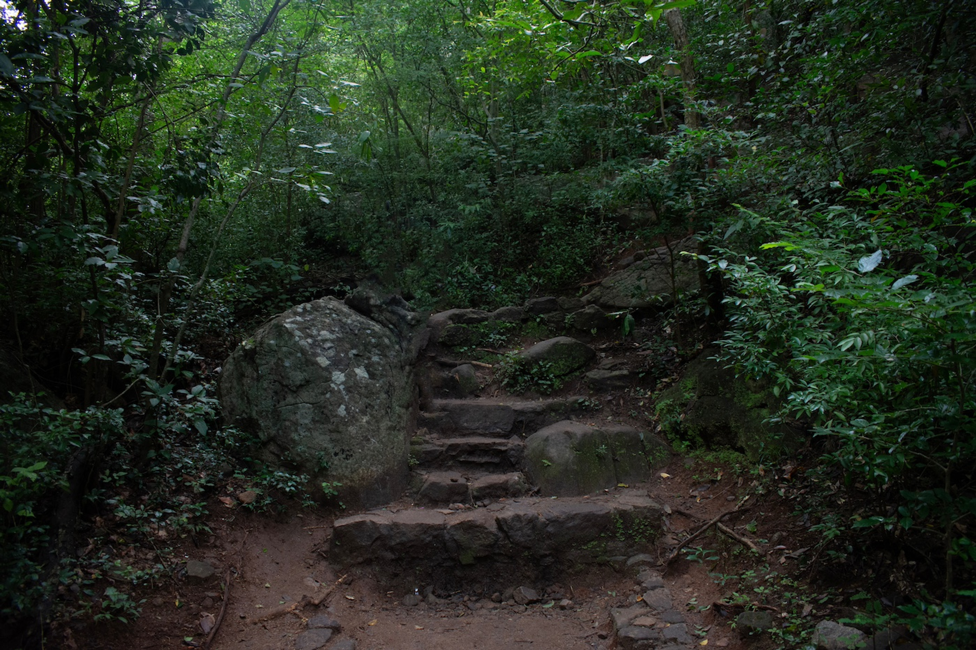 shutterstock_2429098825-1718801818