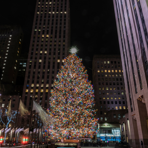 Van Oost-Europa tot Amerika: hoe ontstond de kerstboom?