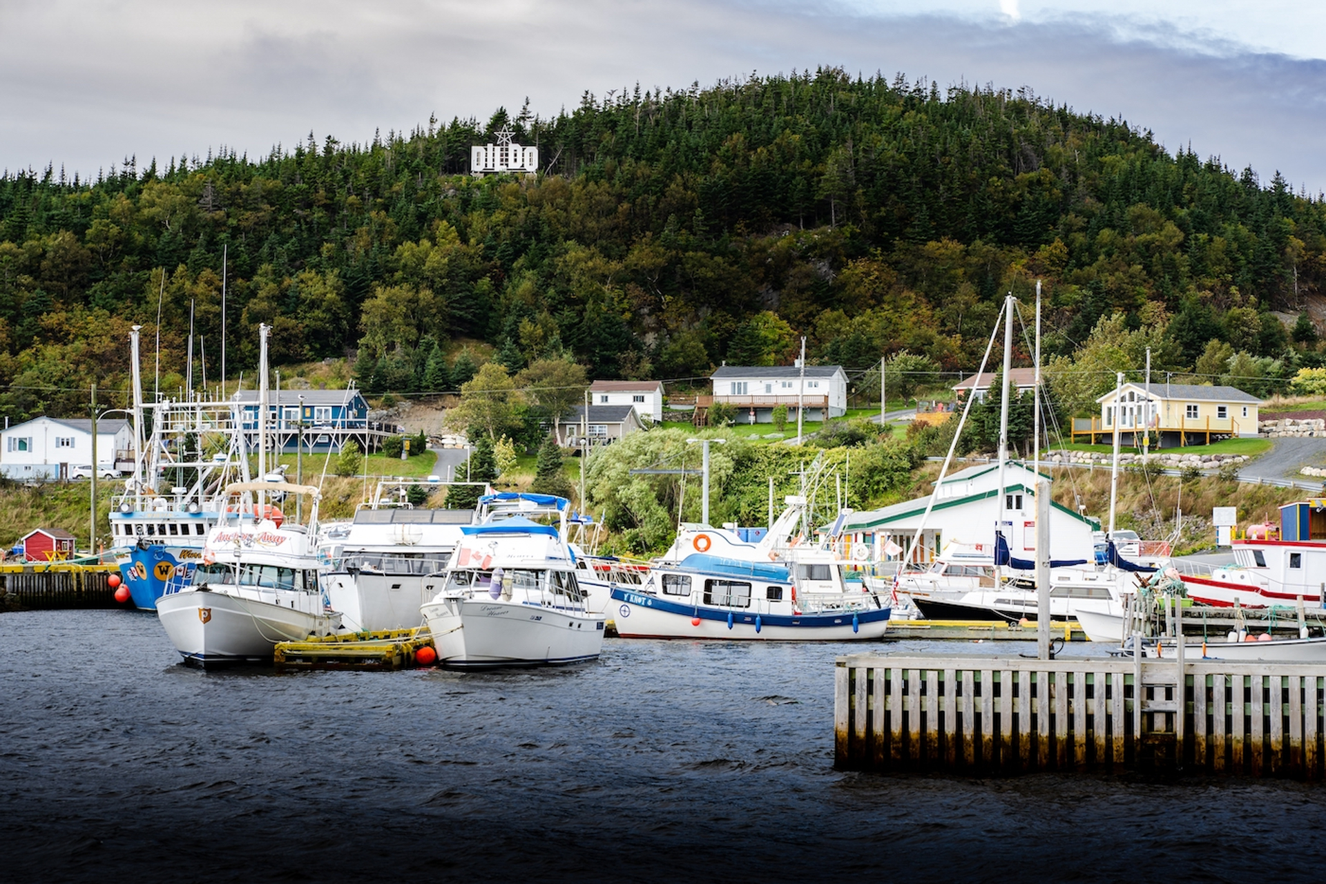 shutterstock_2234103299-1697464088