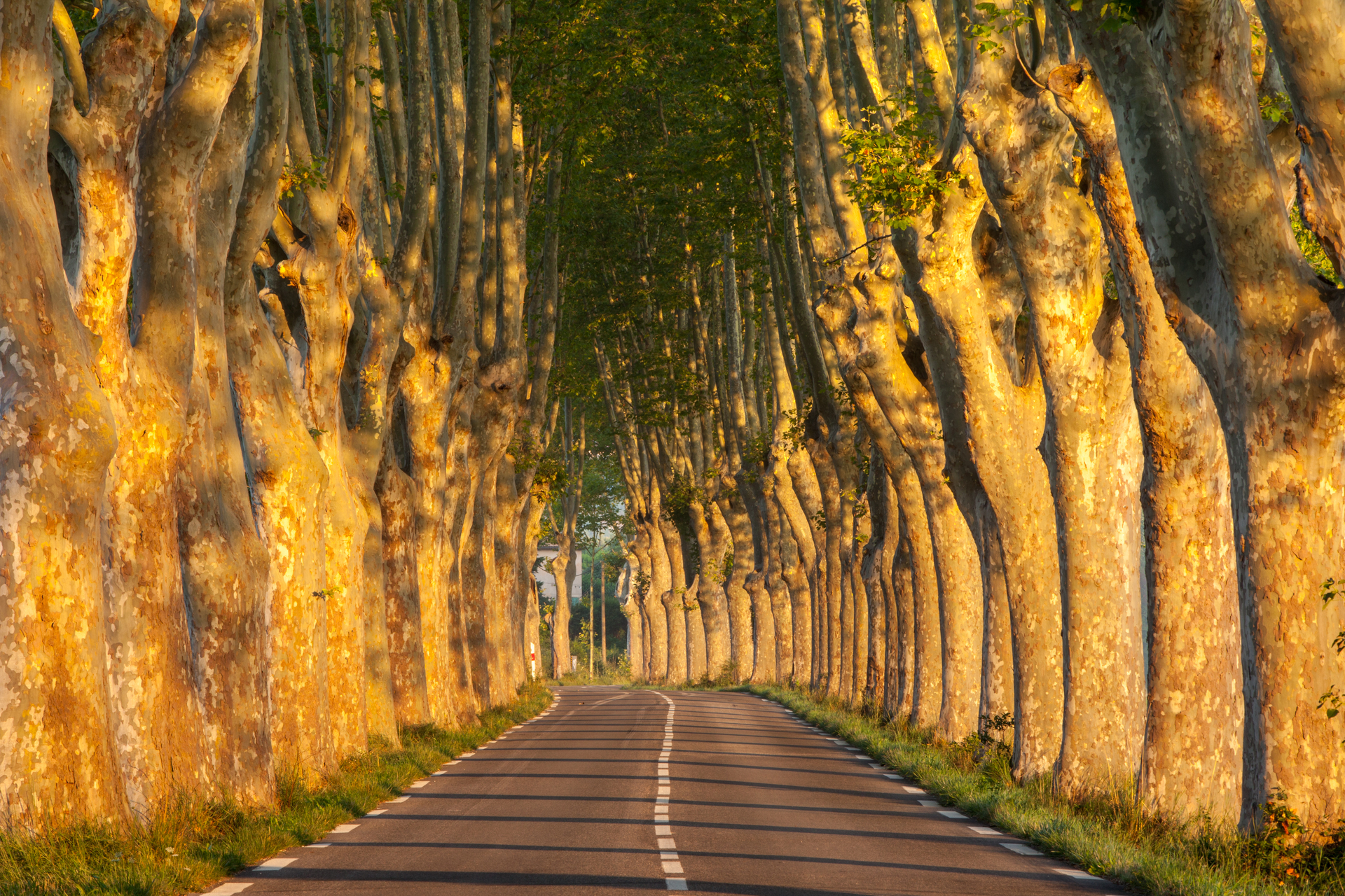 shutterstock_164308889-1609922202