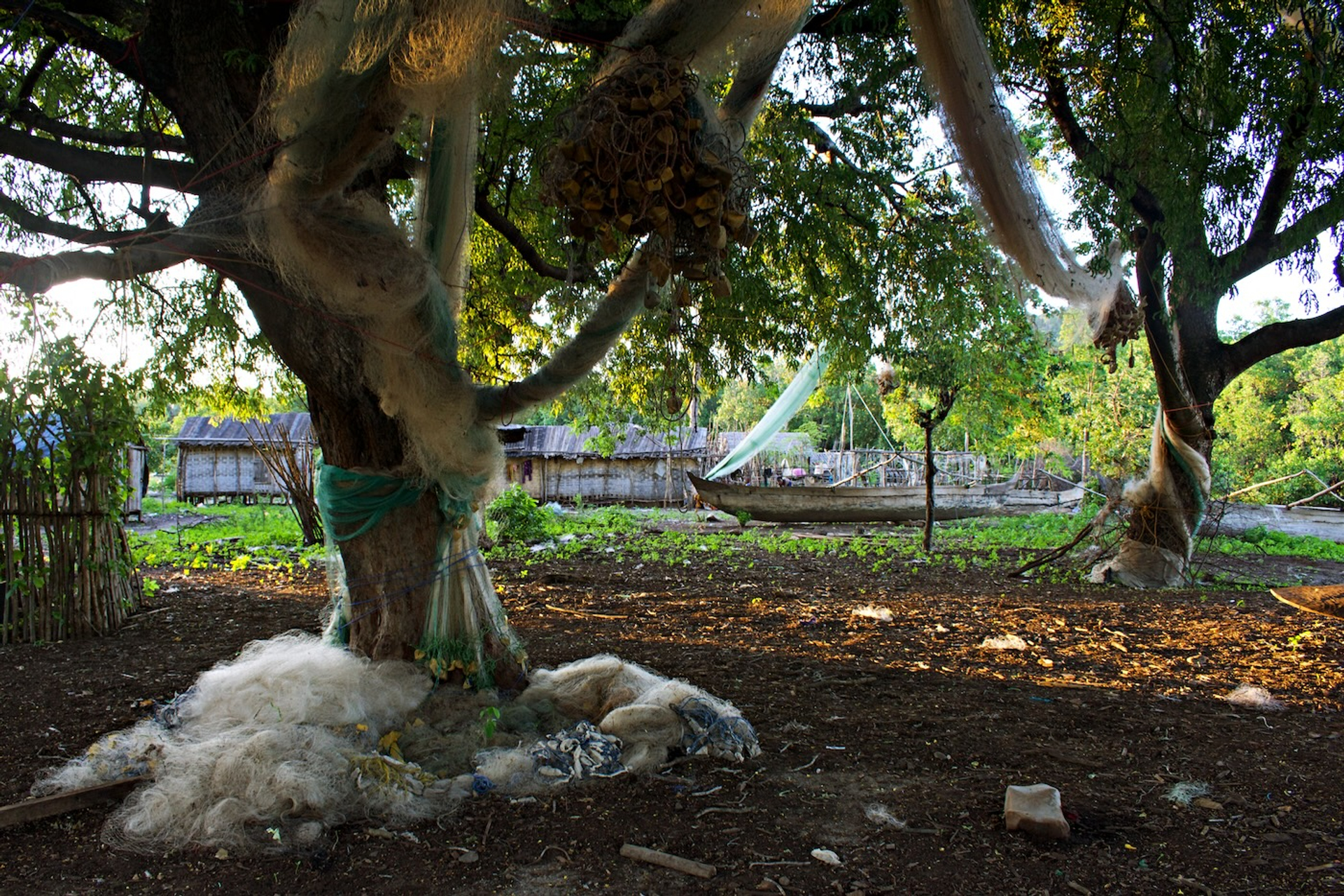 Madagascar_EL_3-1710868494