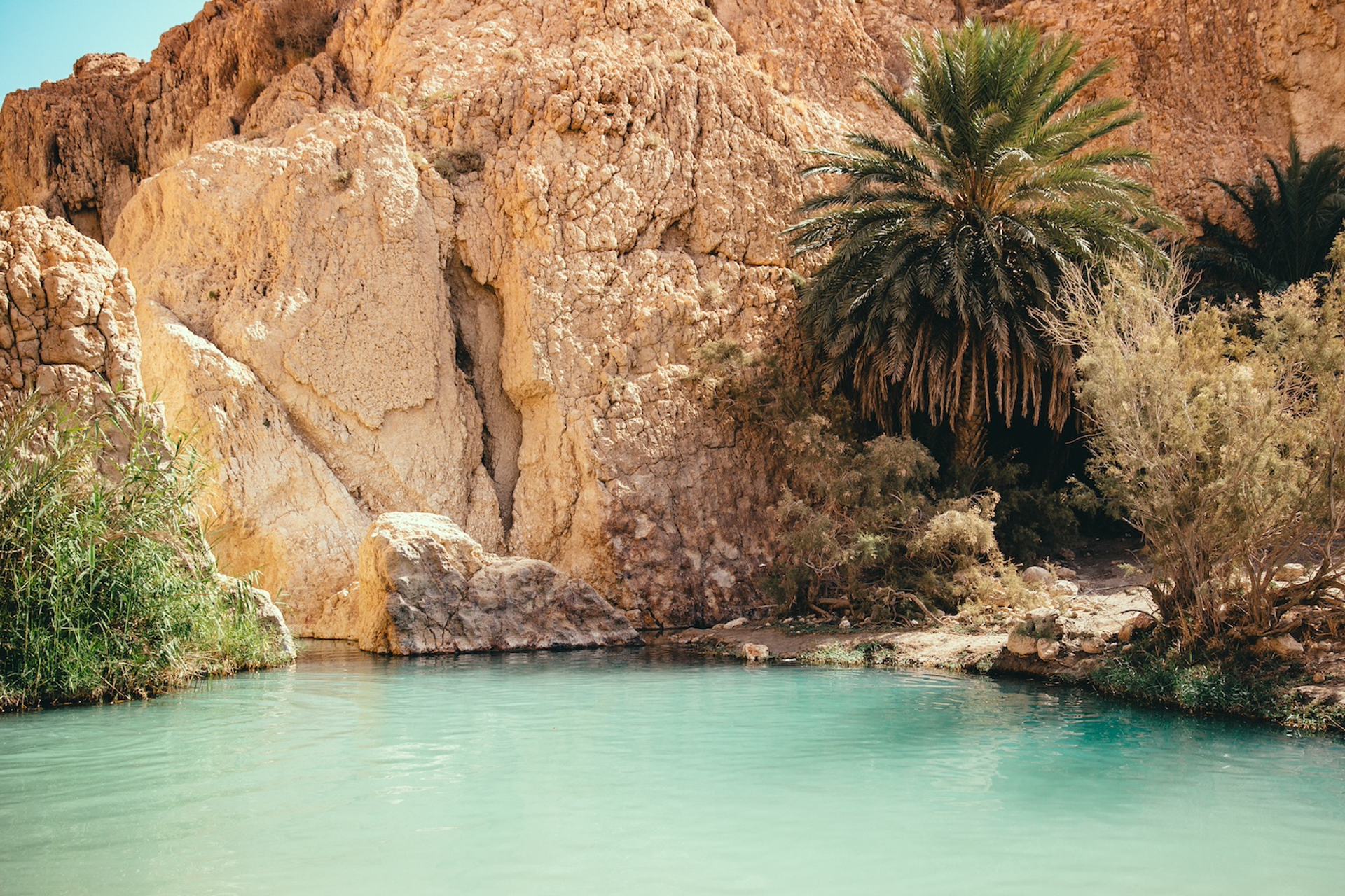 Tania_Volosianko-1715181806