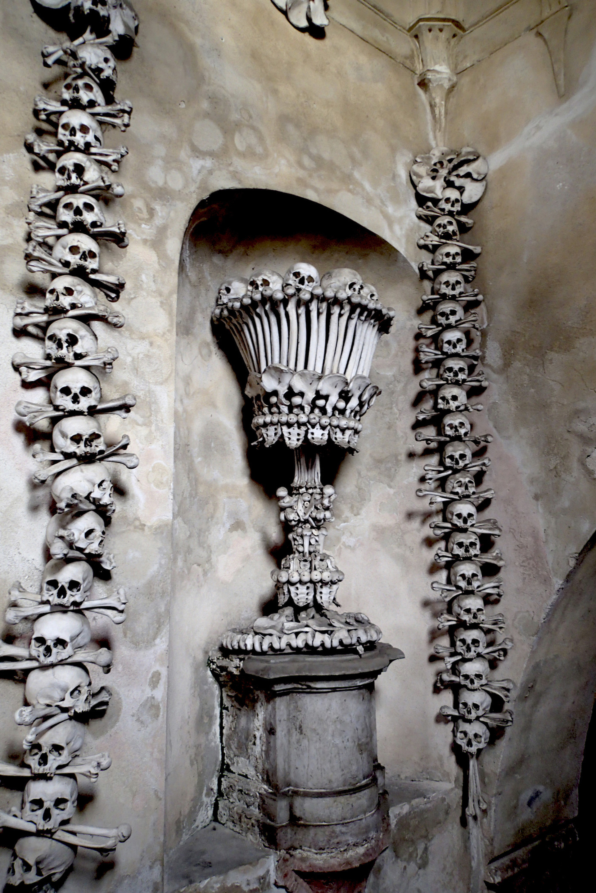 shutterstock_647362708-1645013059