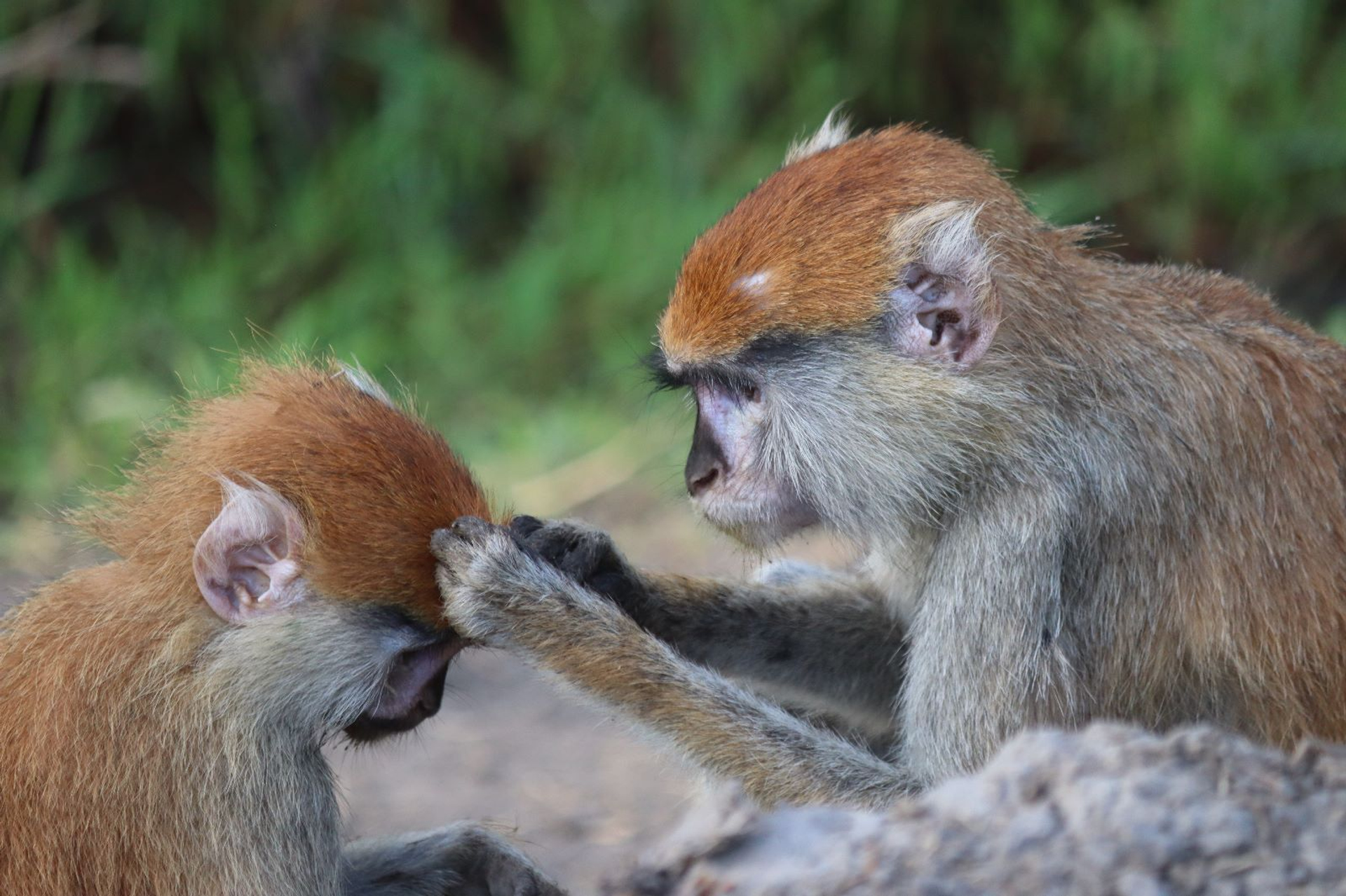 WhatsApp_Image_2023-12-28_at_17.18.23-1705058506