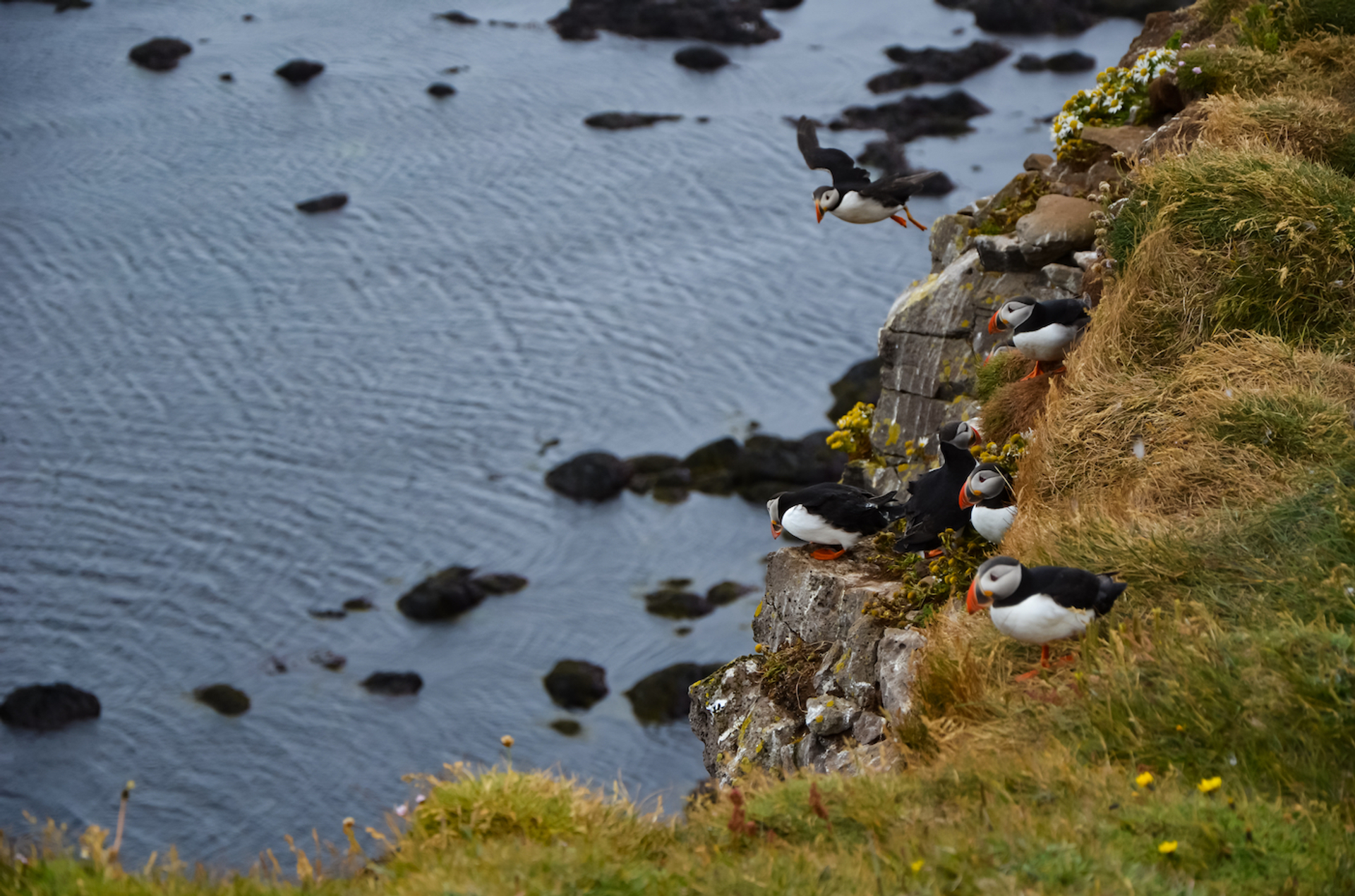 Ste.Kaa___Shutterstock.com-1703163418