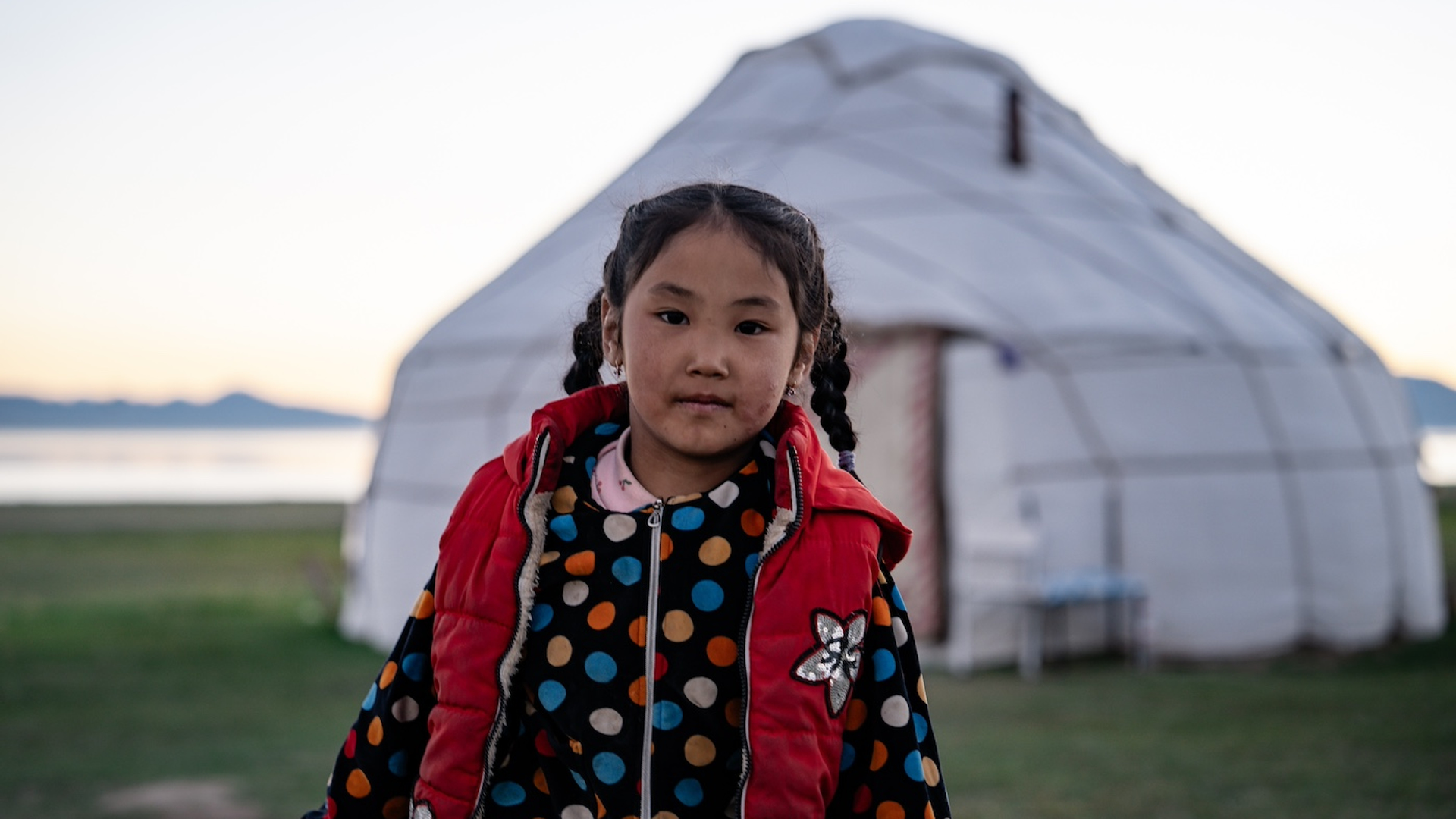 shutterstock_2342901183-1733495951