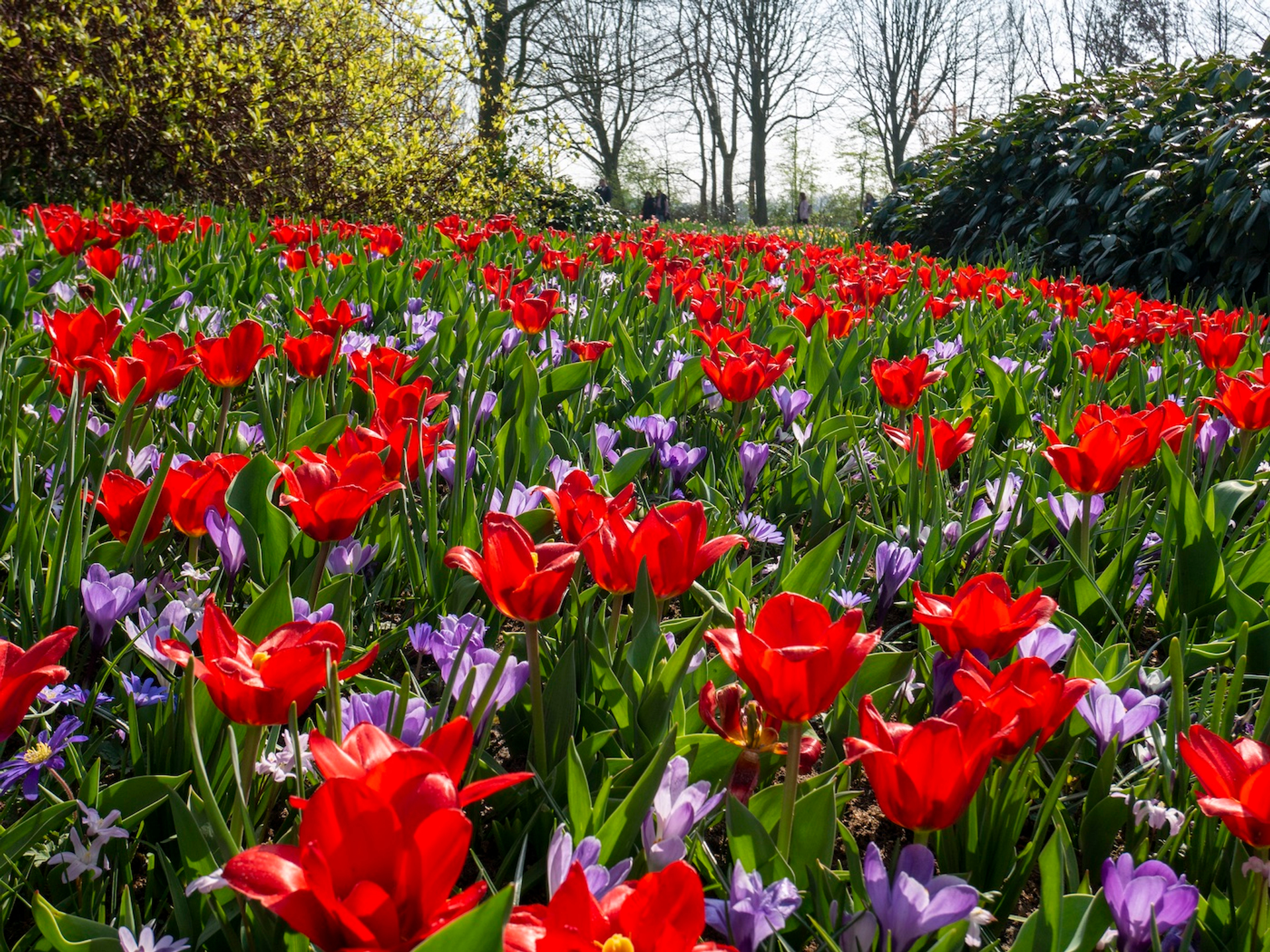 KH2_kopie-1648223004