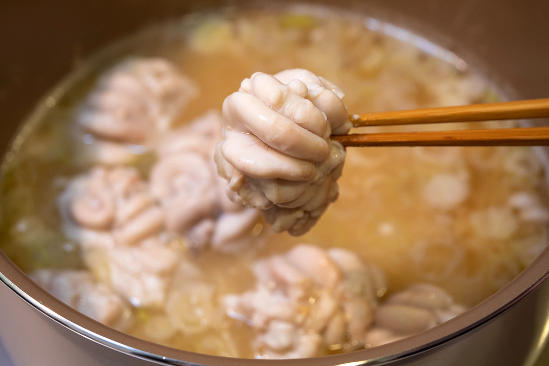 3OR_Shirako_pan-1645452497