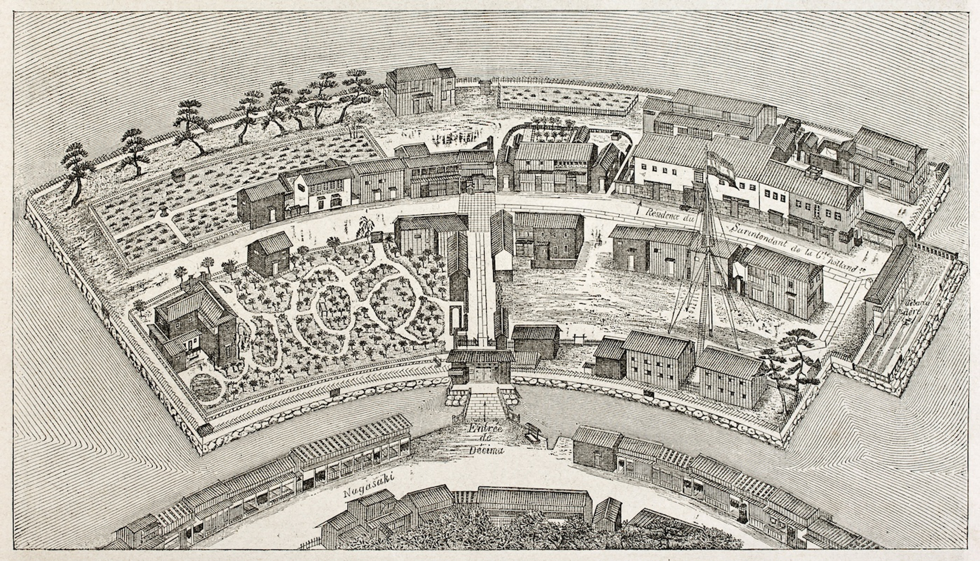 shutterstock_95815288-1718964463