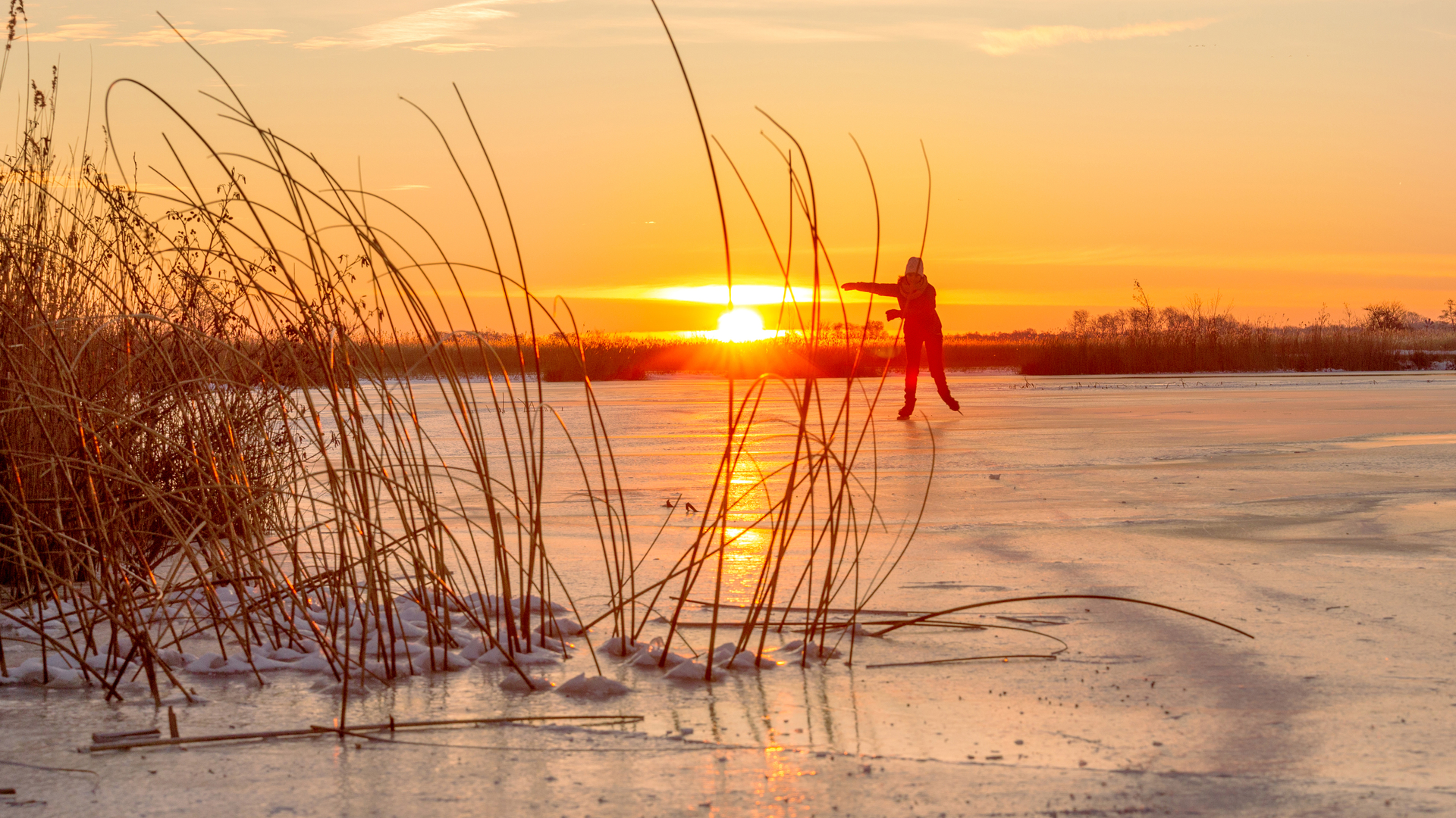 Regina_Kappert__Weeerribben-Wieden-1614085755