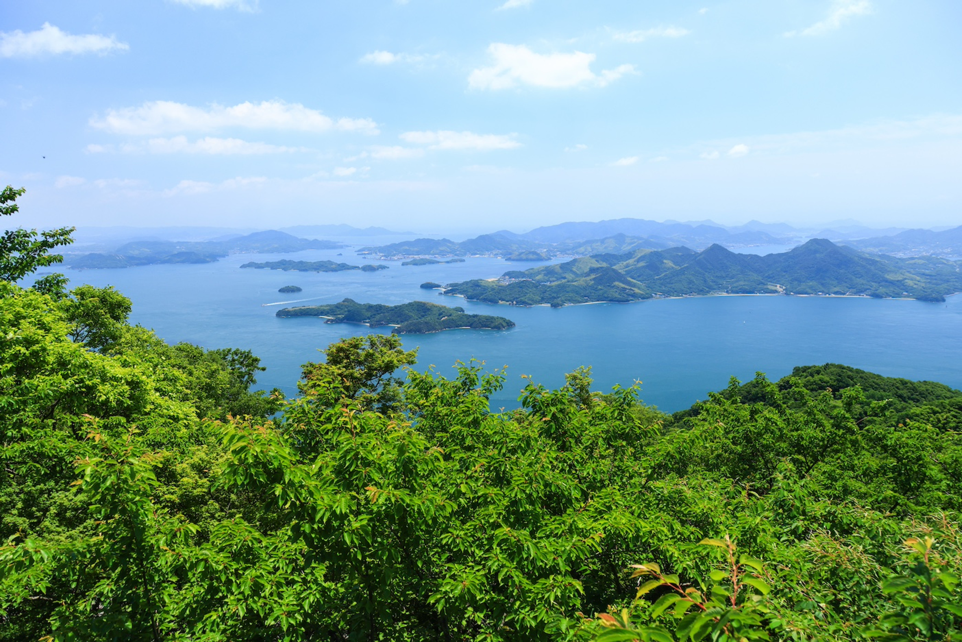 shutterstock_1982128424-1719822735