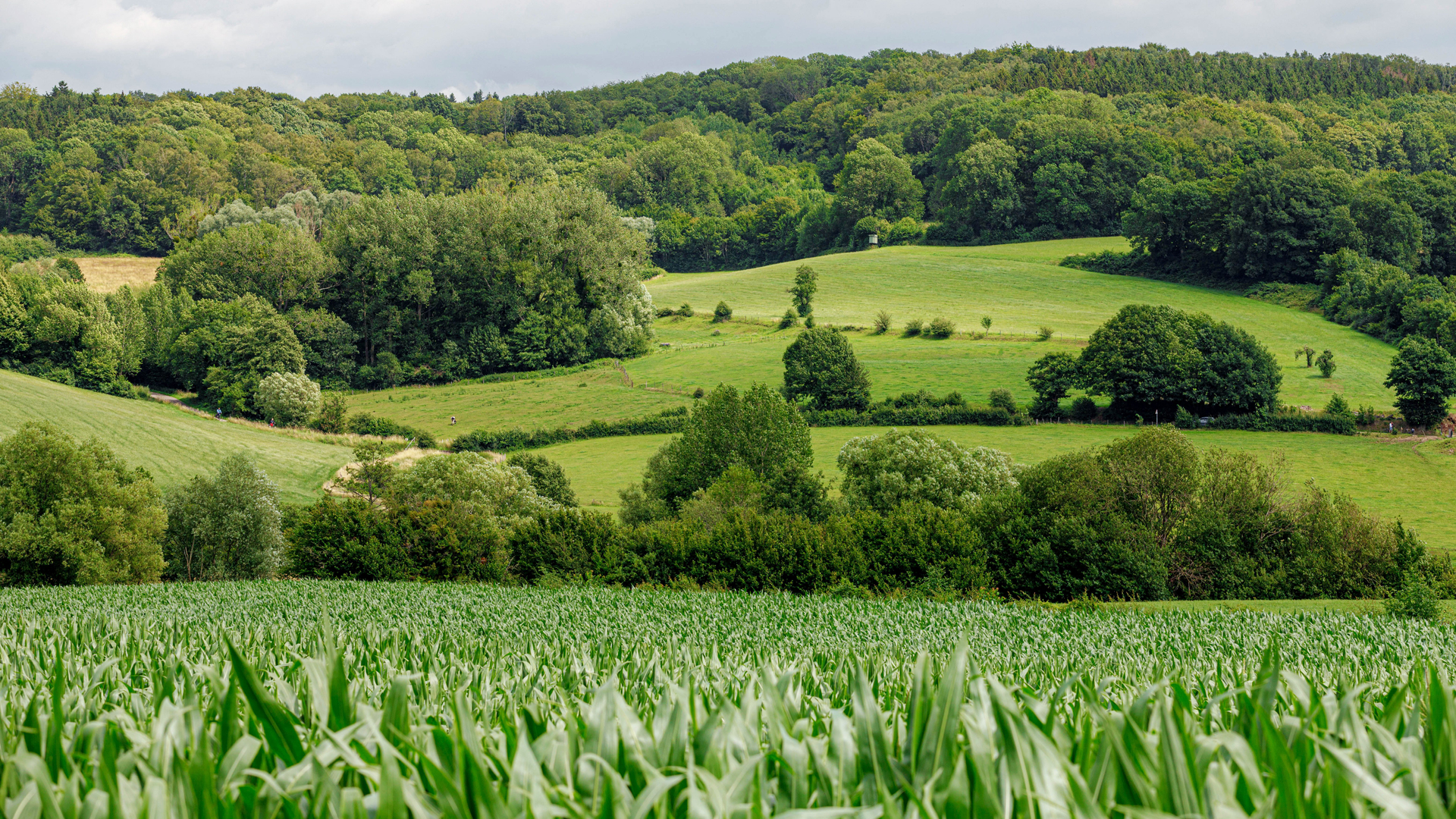 67eb66a1-d745-4ce0-aa28-917e4e0fddb6-1605001595