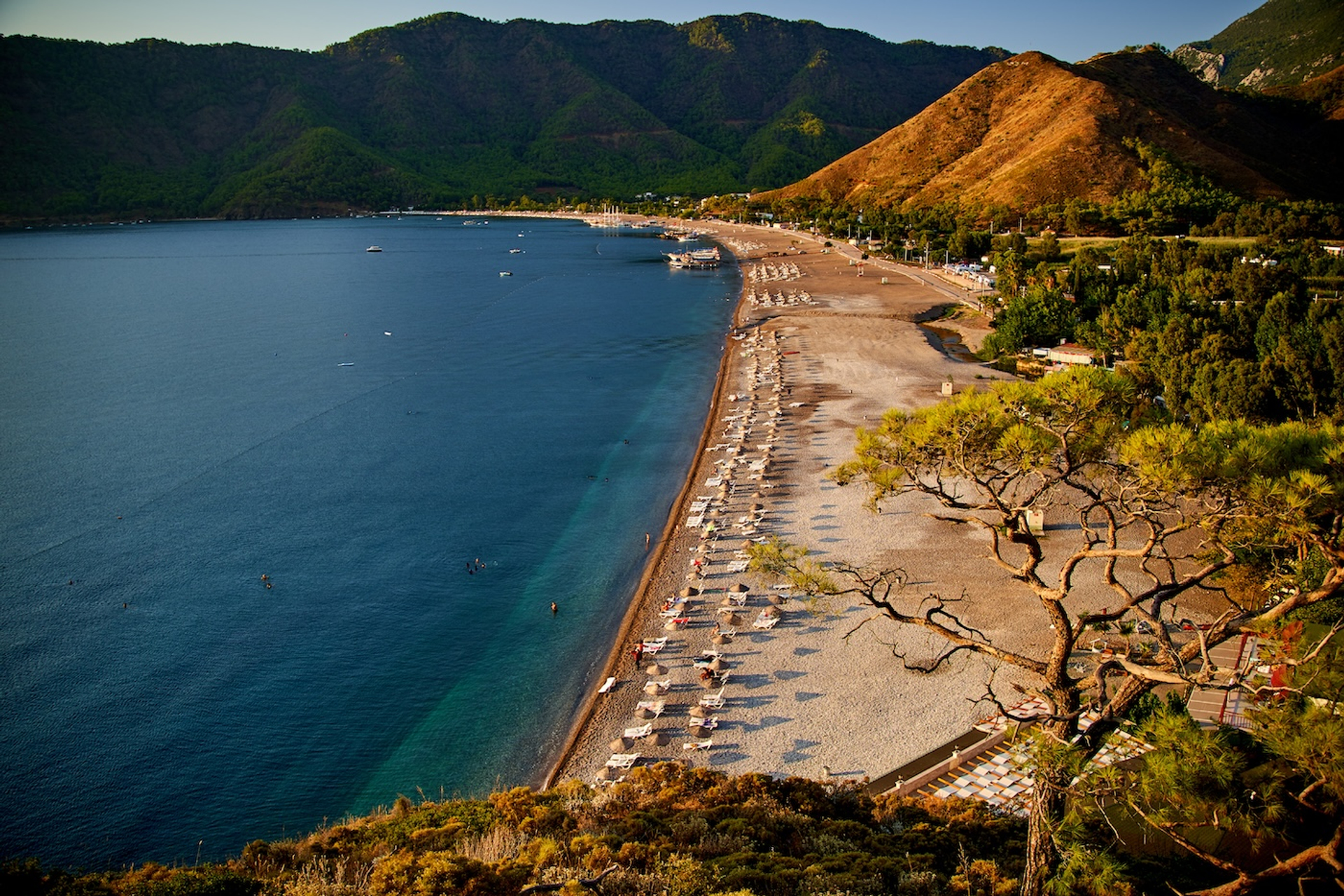 raimond_klavins-1731326491