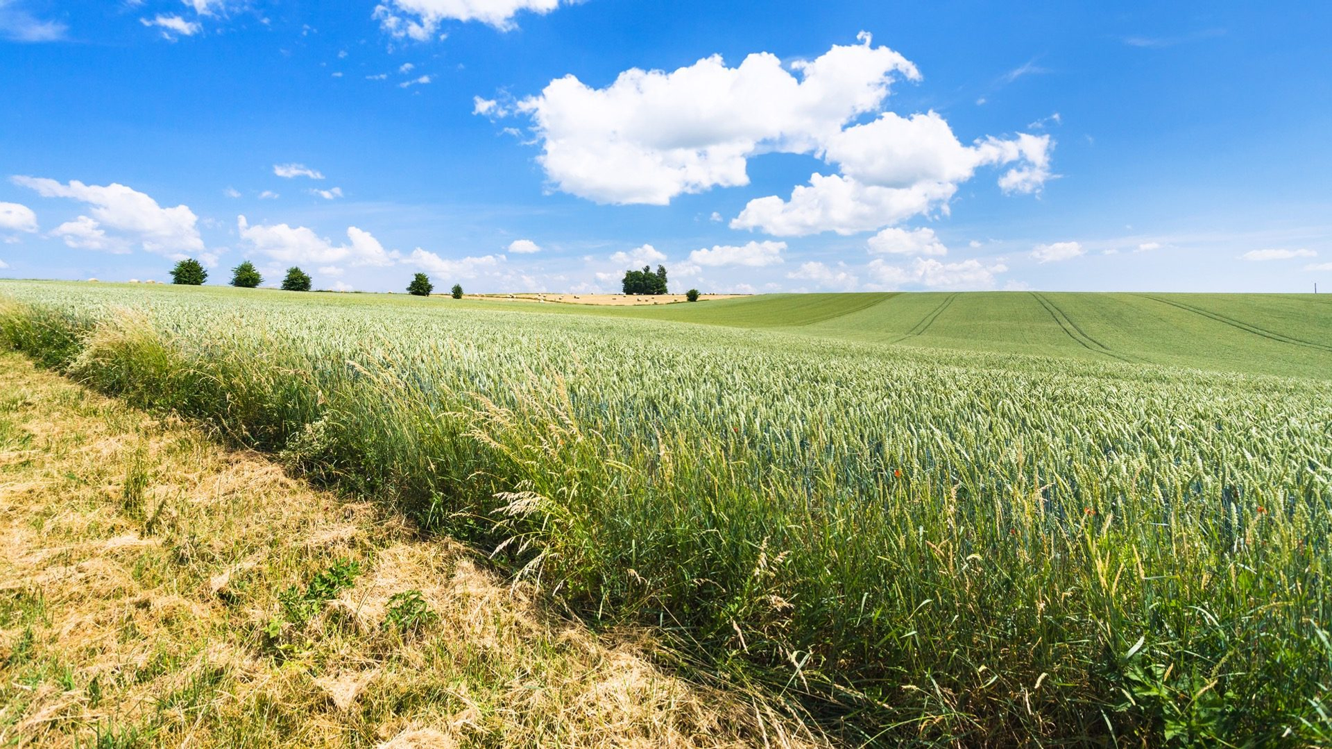 2f620230-5039-4796-8554-22ff97d3fd22-1605090666